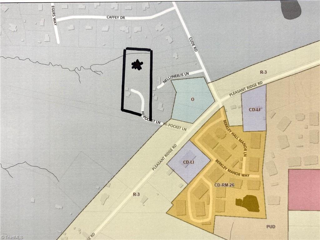 1193 Pleasant Ridge Road Colfax, NC 27235 - Photo 4 of 35