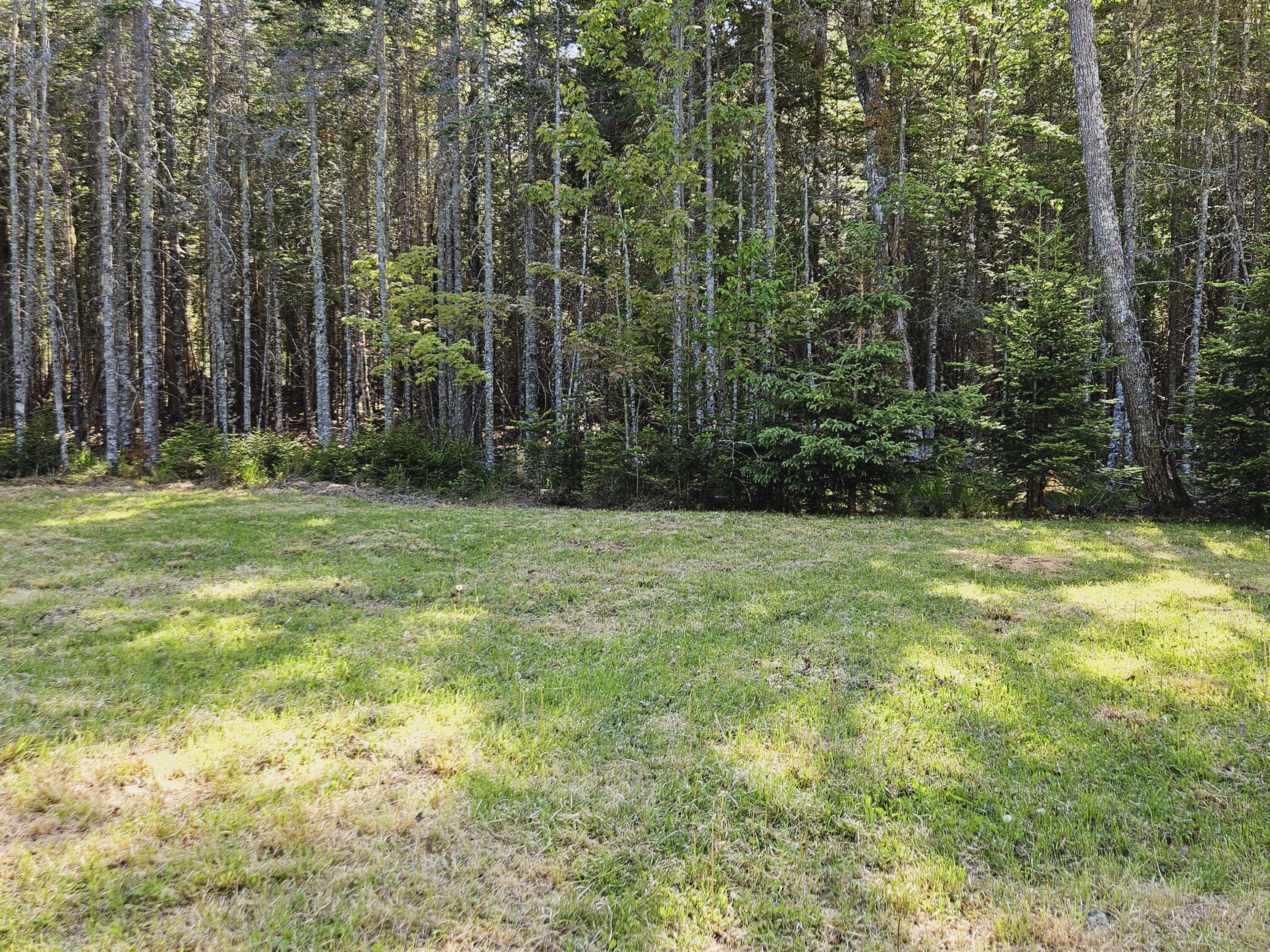 149 N Road Lamoine, ME 04605 - Photo 12 of 75 20230530_160117