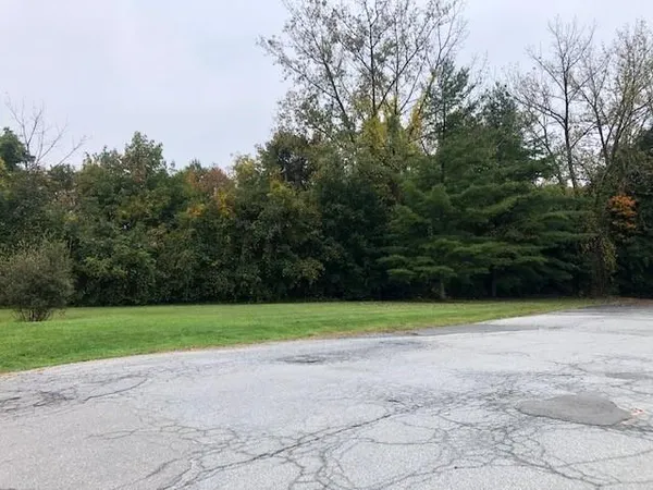 a view of a yard with a trees