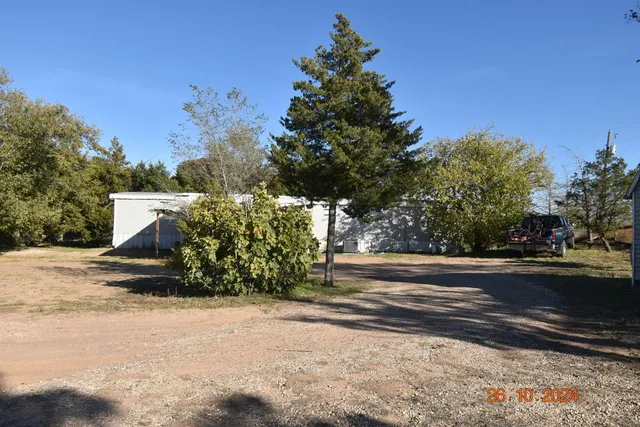 a view of path and trees
