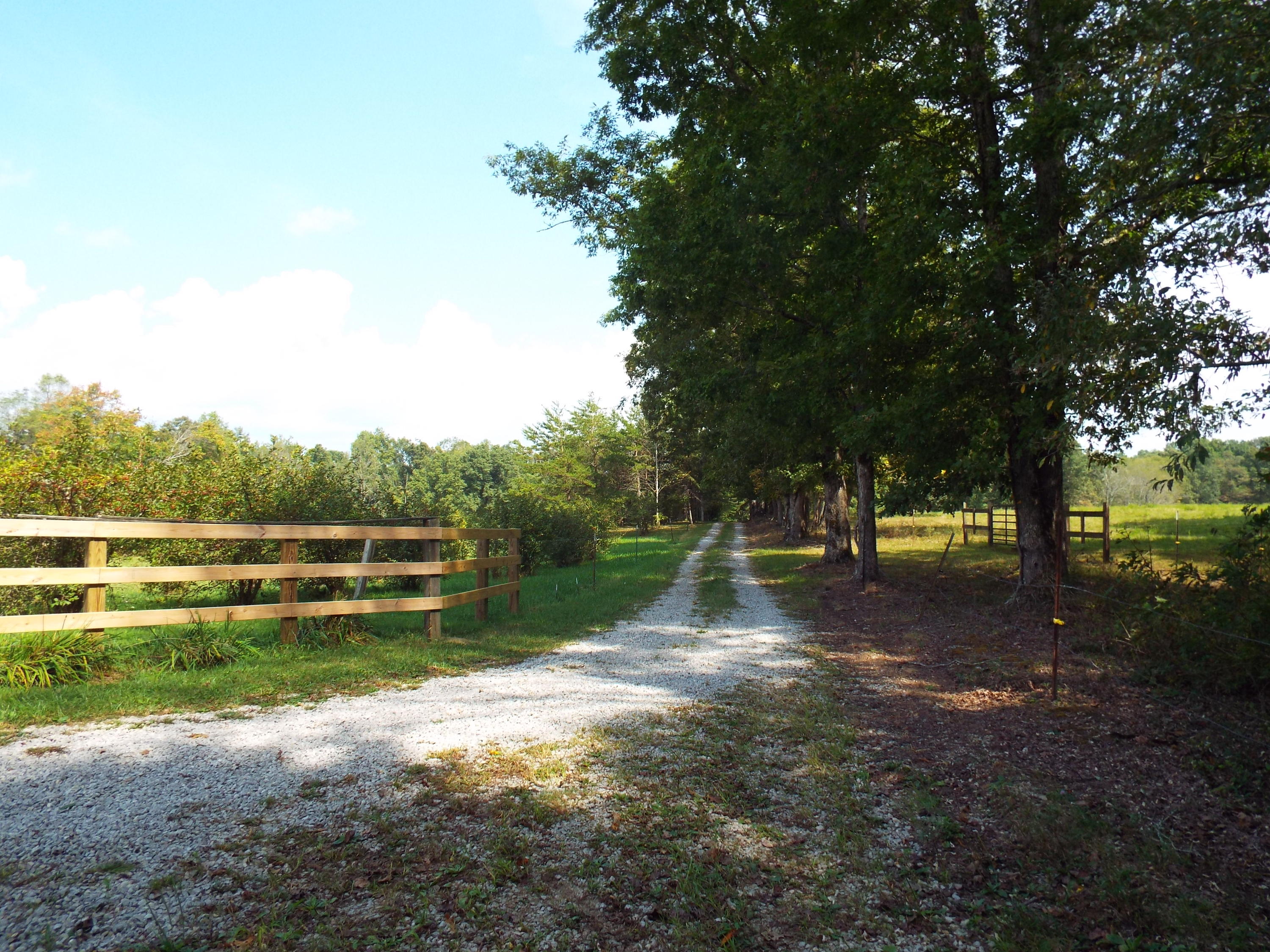 173 Sunset Pines/barnett Bridge Road Lancing, TN 37770 - Photo 2 of 40 DSCF3485