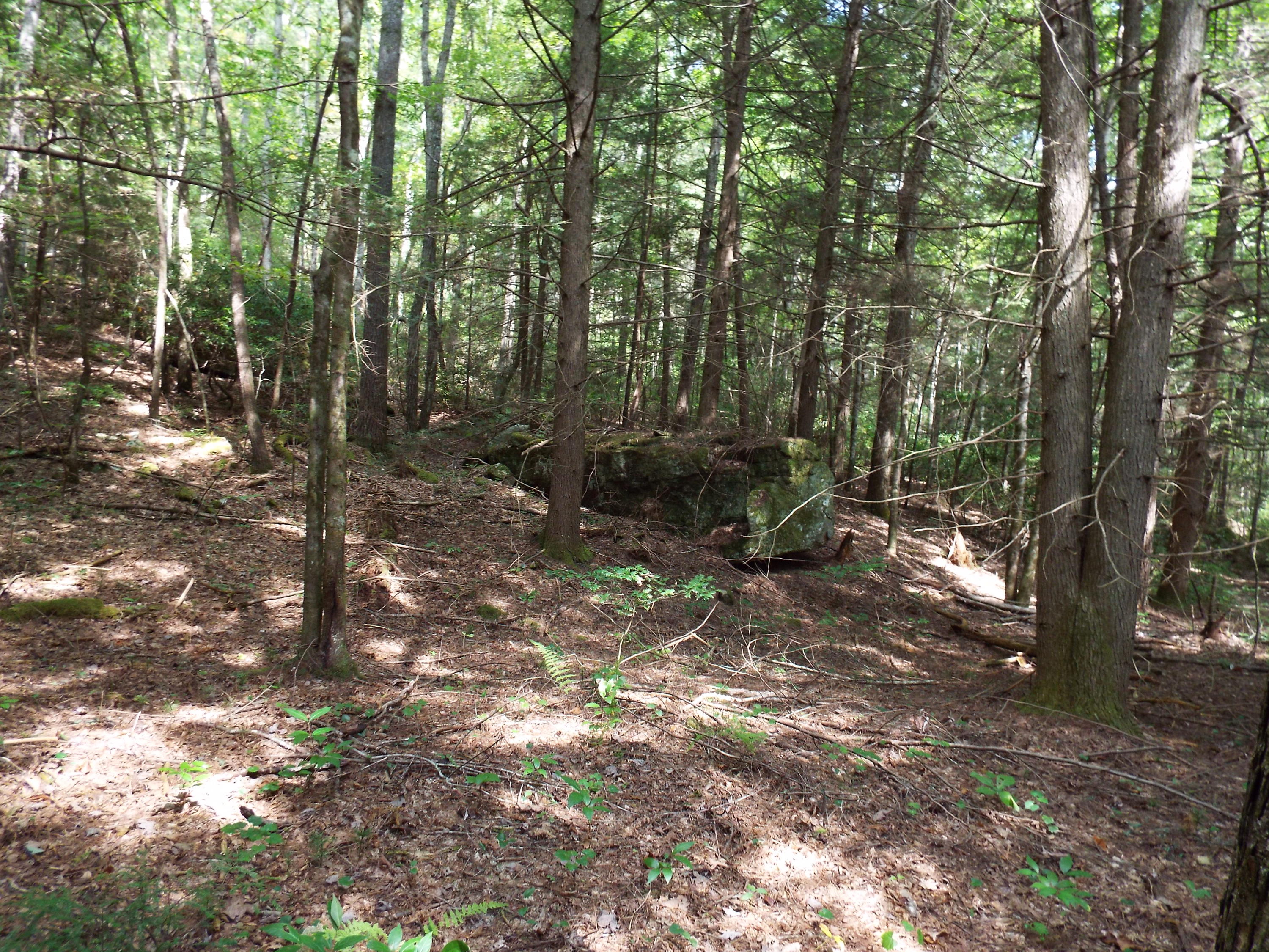 173 Sunset Pines/barnett Bridge Road Lancing, TN 37770 - Photo 23 of 40 DSCF3462