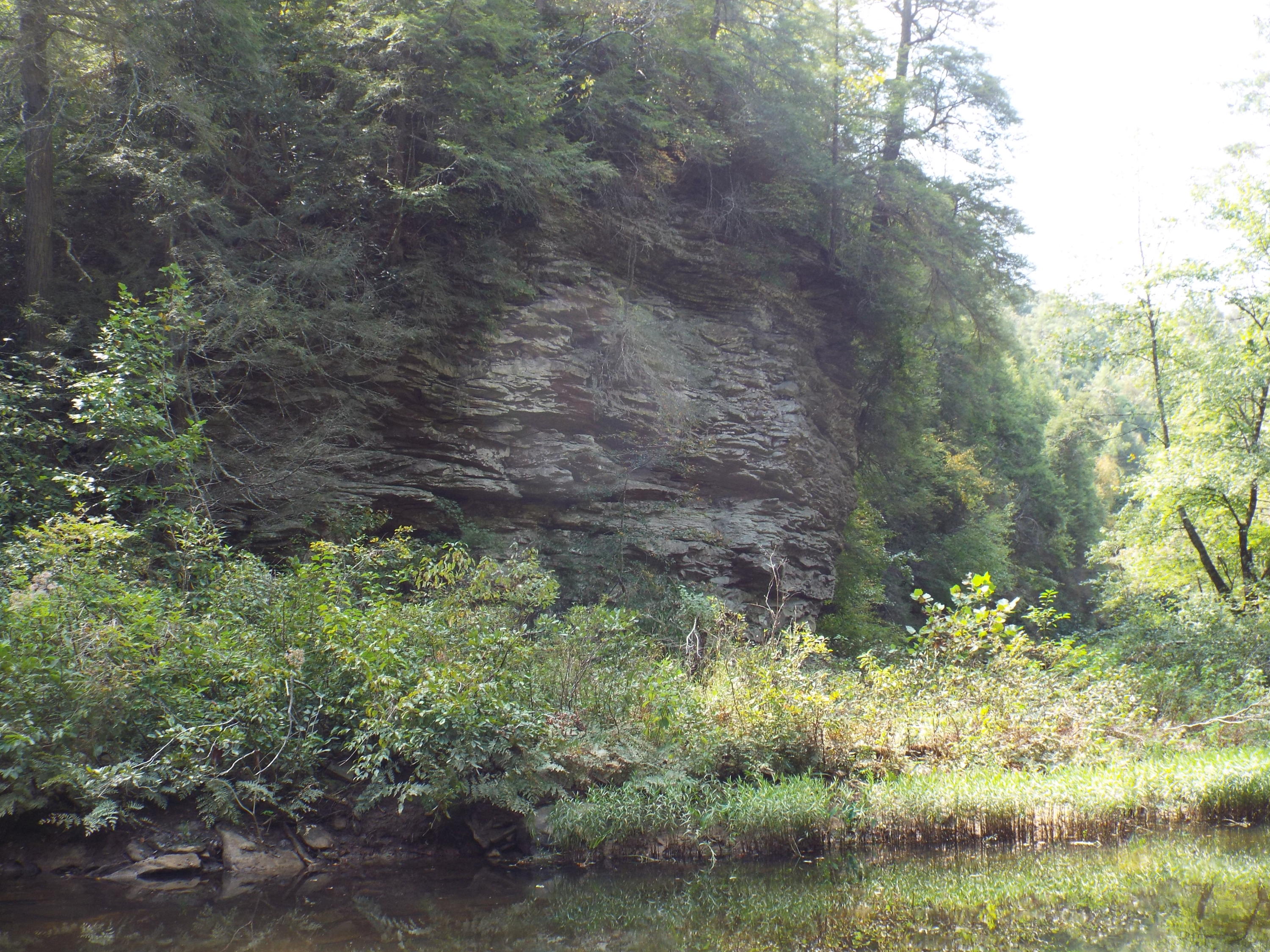 173 Sunset Pines/barnett Bridge Road Lancing, TN 37770 - Photo 24 of 40 DSCF3475