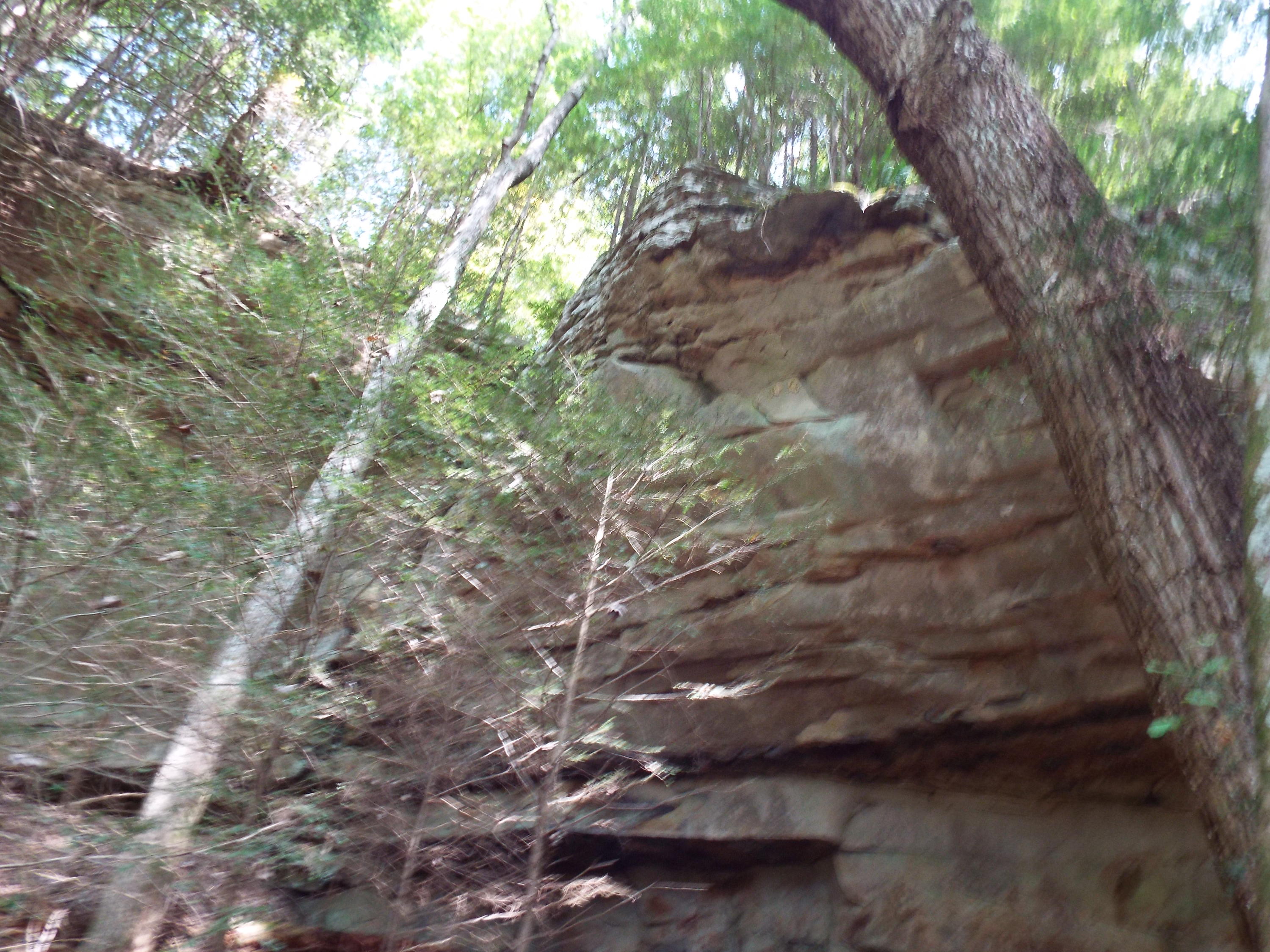 173 Sunset Pines/barnett Bridge Road Lancing, TN 37770 - Photo 27 of 40 DSCF3480