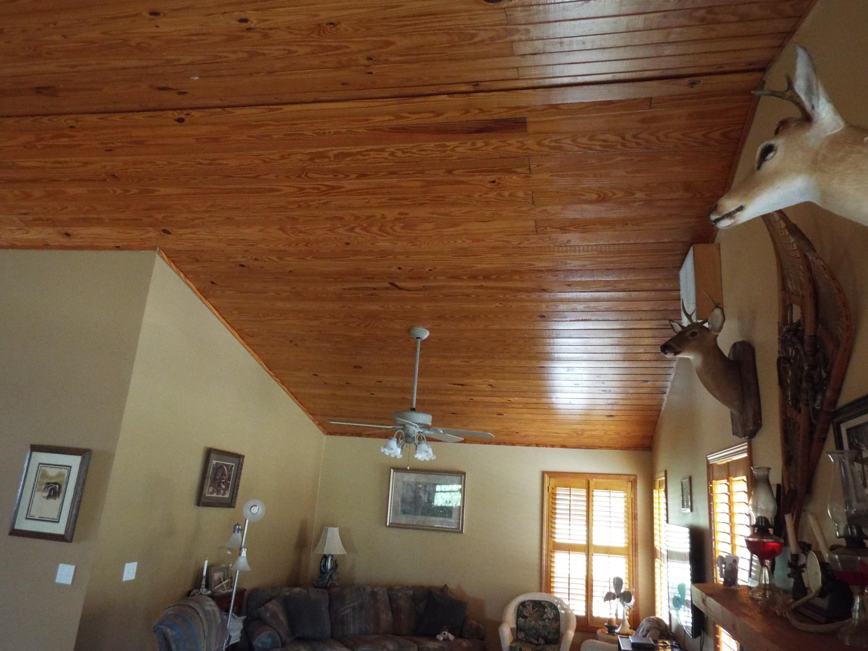 173 Sunset Pines/barnett Bridge Road Lancing, TN 37770 - Photo 34 of 40 DSCF3413