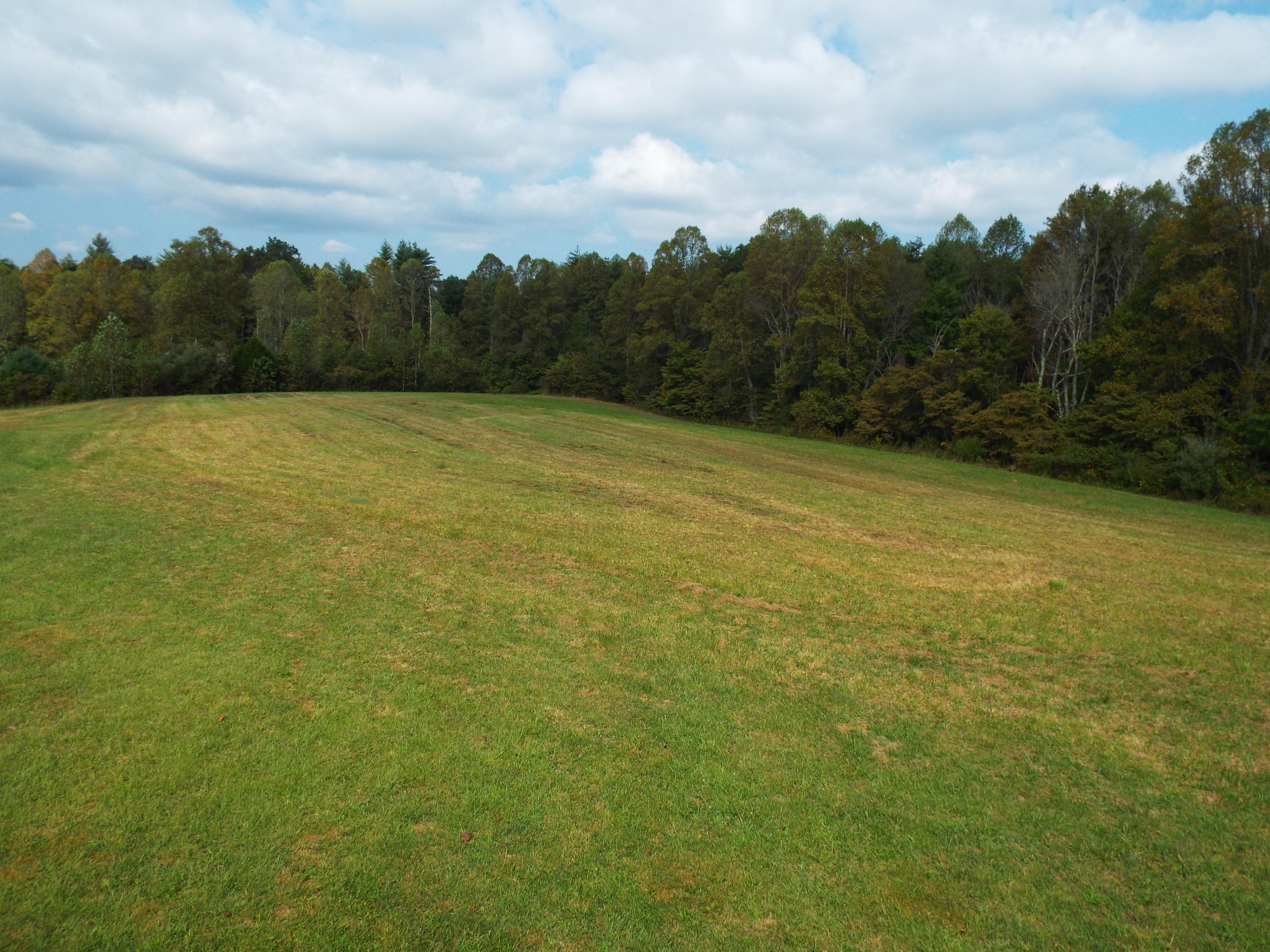173 Sunset Pines/barnett Bridge Road Lancing, TN 37770 - Photo 7 of 40 DSCF3416