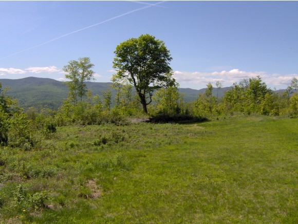 0 Murphy Road Braintree, VT 05060 - Photo 1 of 1