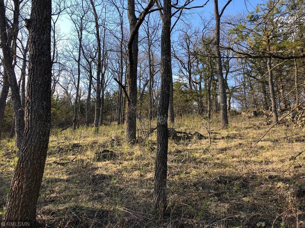 Xx17 Xx17 Deep River Road Peterson, MN 55962 - Photo 25 of 32