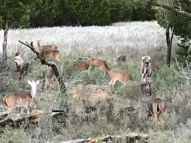 $592,725 | 14459 County Road 107, Mingus, TX 76463