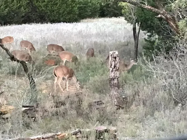 $592,725 | 14459 County Road 107, Mingus, TX 76463