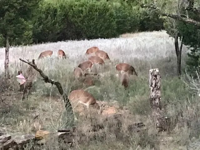 $592,725 | 14459 County Road 107, Mingus, TX 76463