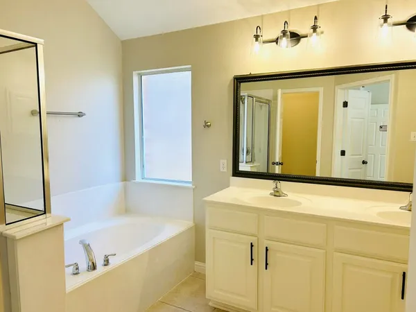 a bathroom with a tub sink and mirror