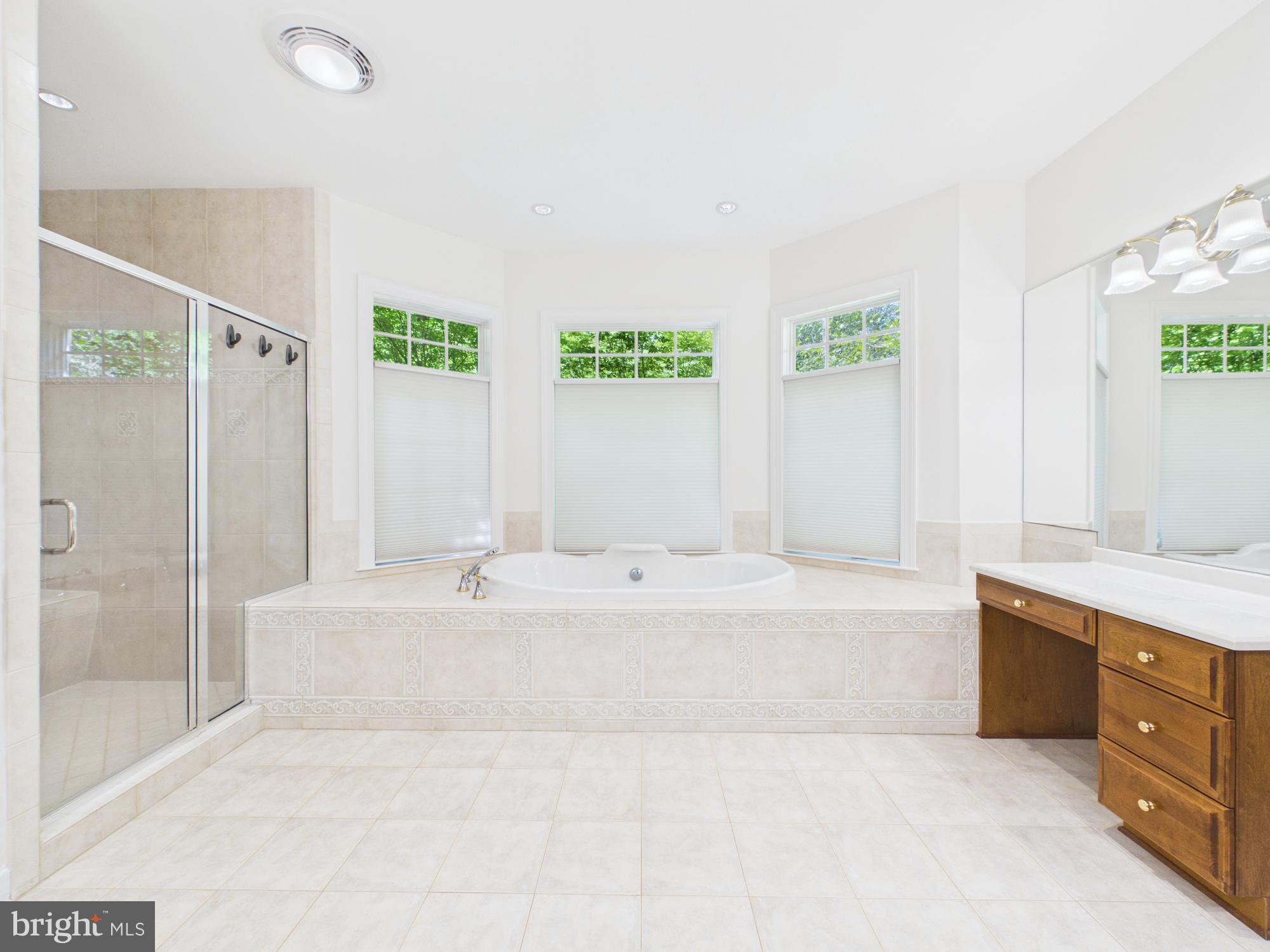 7972 Pinnacle Ridge Drive Manassas, VA 20112 - Photo 24 of 50 Serene spa-like bathroom retreat.