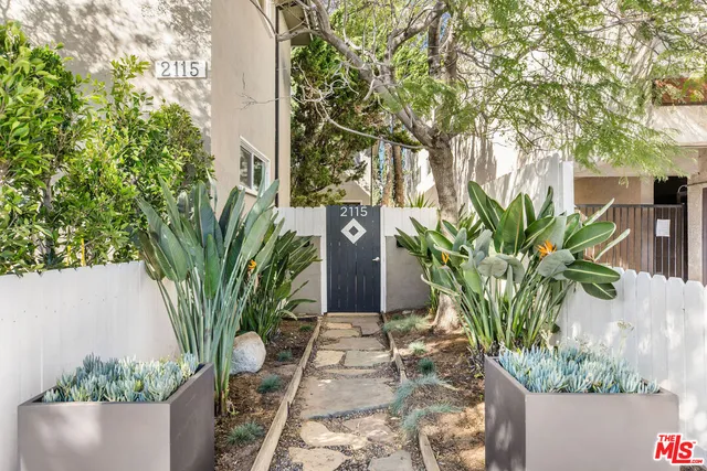 a potted plant sitting in front of a building