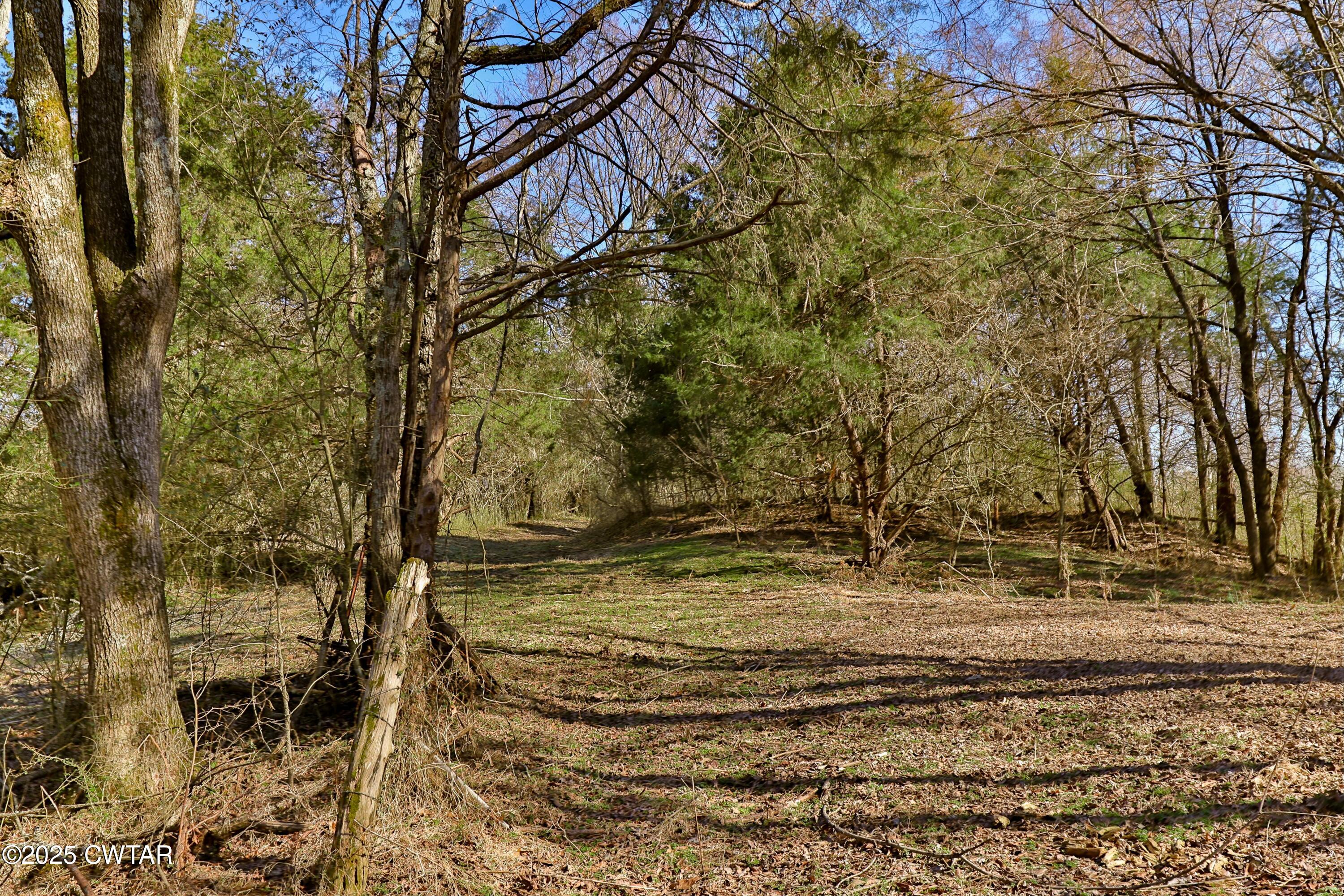 0 Sanders Store Road Milan, TN 38358 - Photo 12 of 20 a view of dirt yard with large trees