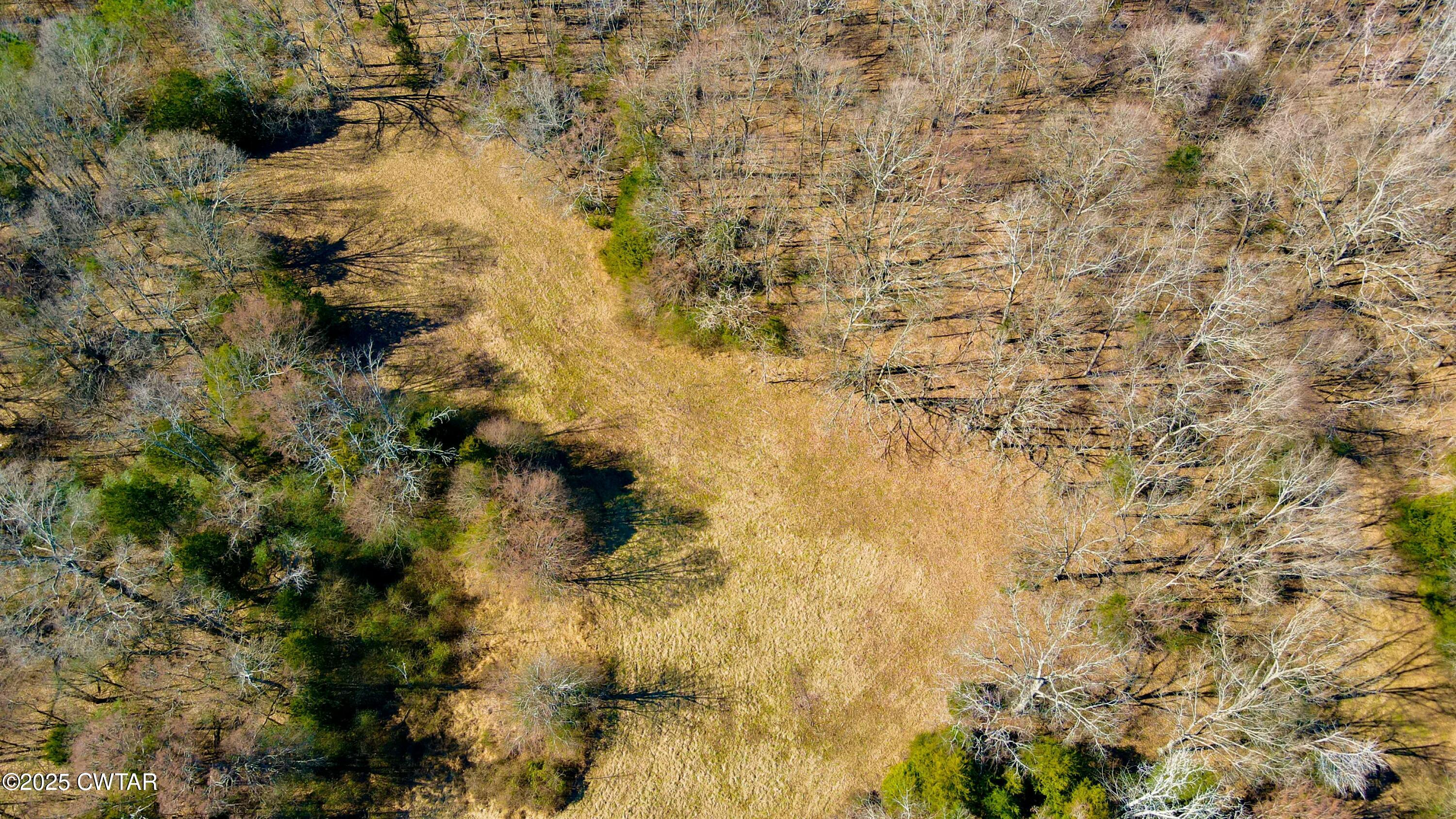 0 Sanders Store Road Milan, TN 38358 - Photo 19 of 20 a view of a small yard