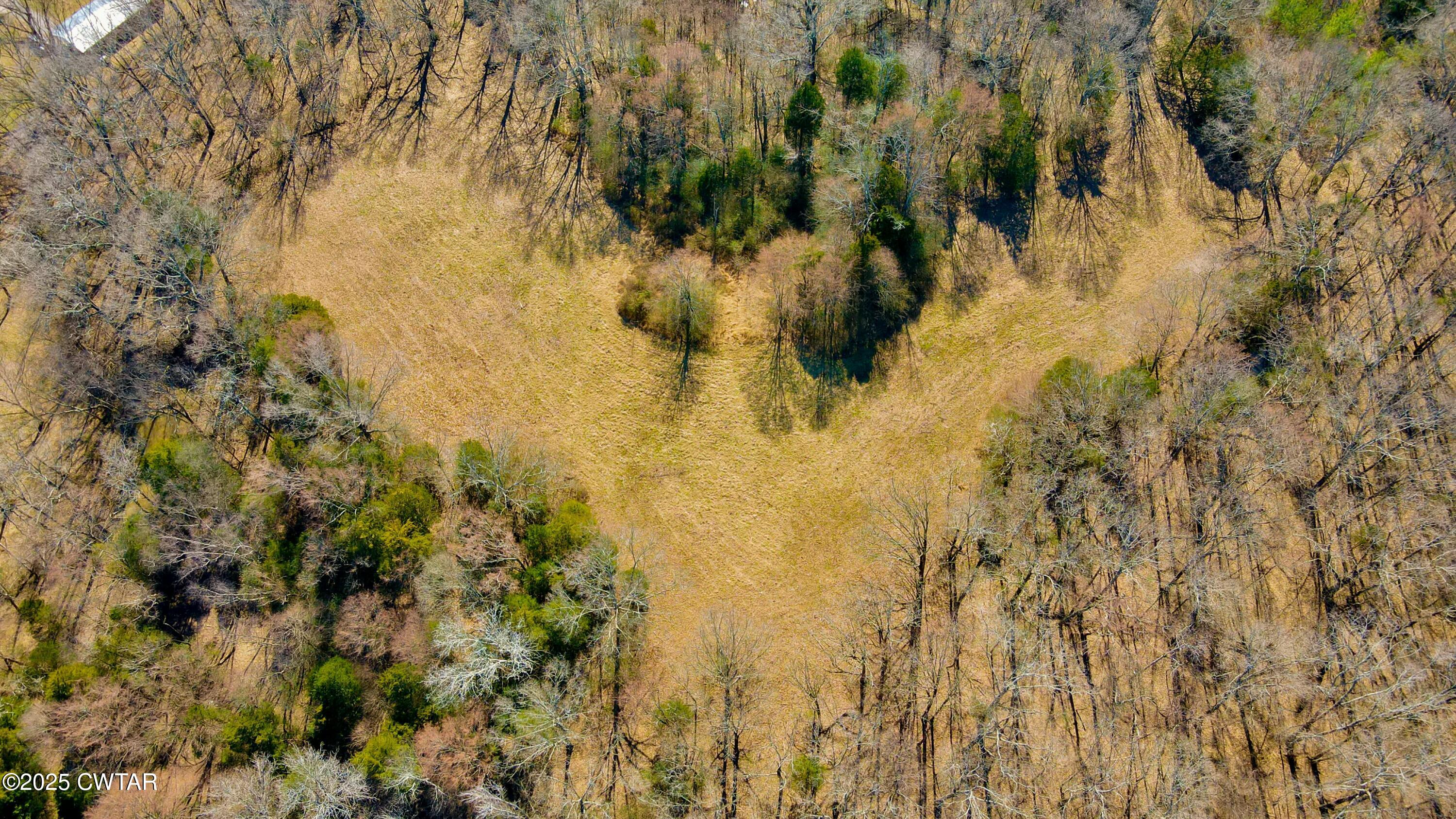 0 Sanders Store Road Milan, TN 38358 - Photo 20 of 20 a view of a small yard