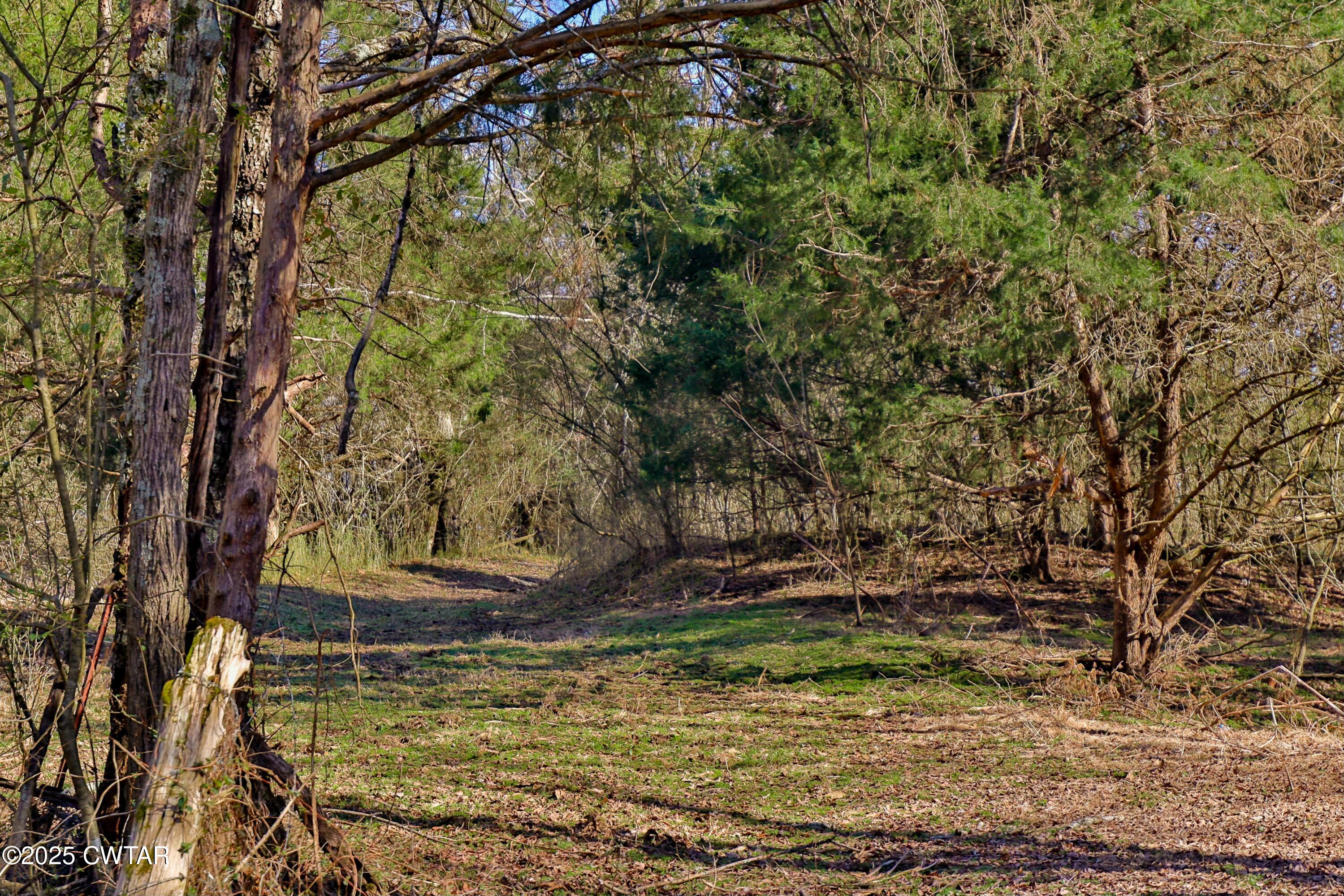 0 Sanders Store Road Milan, TN 38358 - Photo 2 of 20 a view of a yard with wooden fence