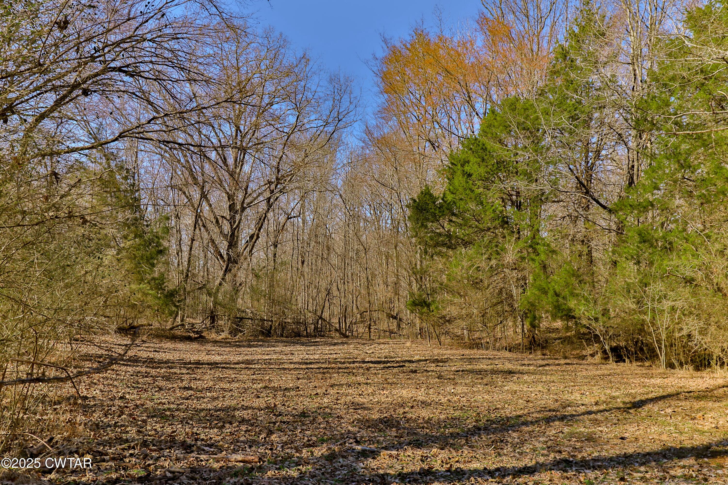 0 Sanders Store Road Milan, TN 38358 - Photo 3 of 20 a view of dirt field with trees