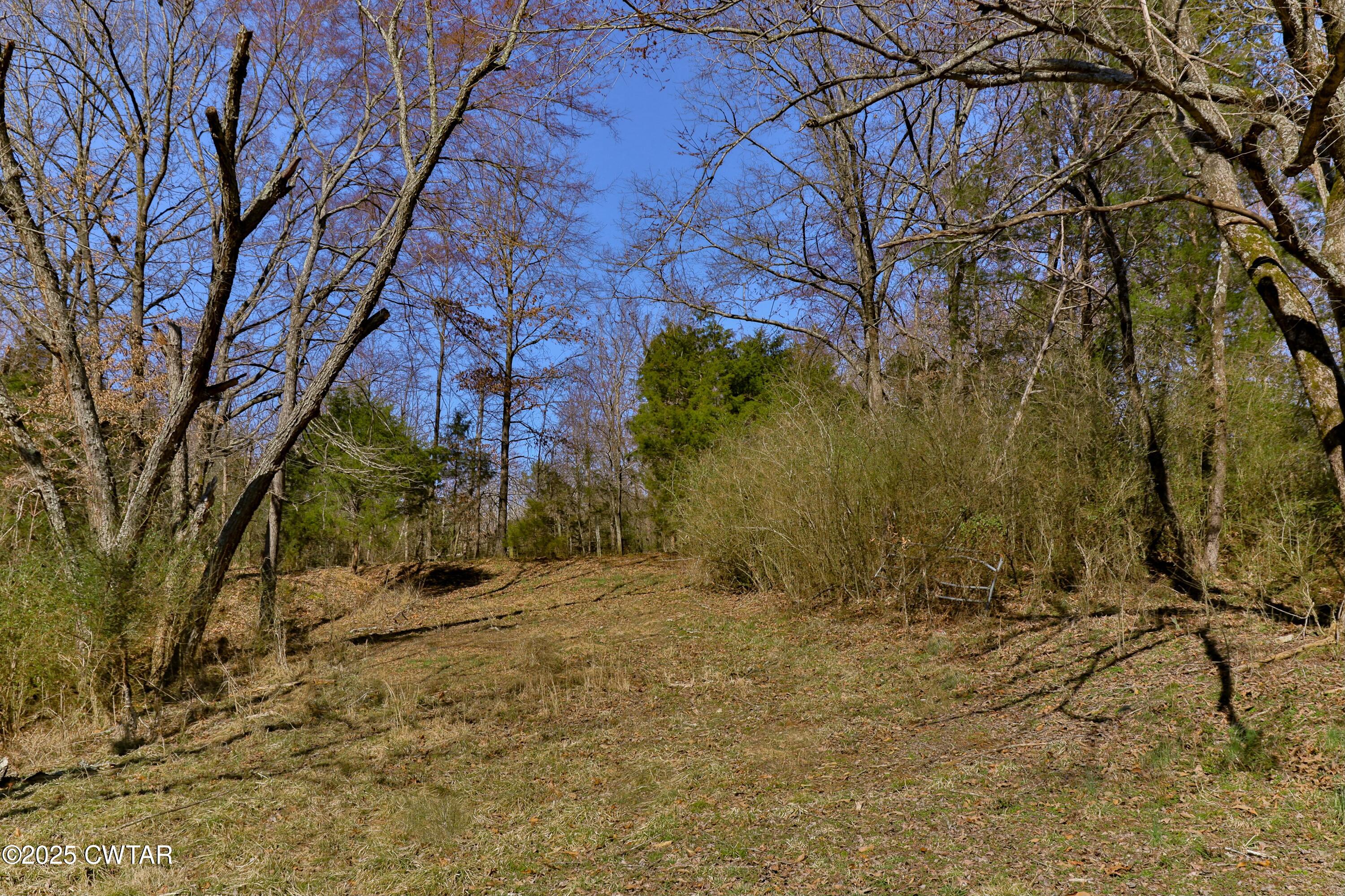 0 Sanders Store Road Milan, TN 38358 - Photo 4 of 20 a view of a yard with trees