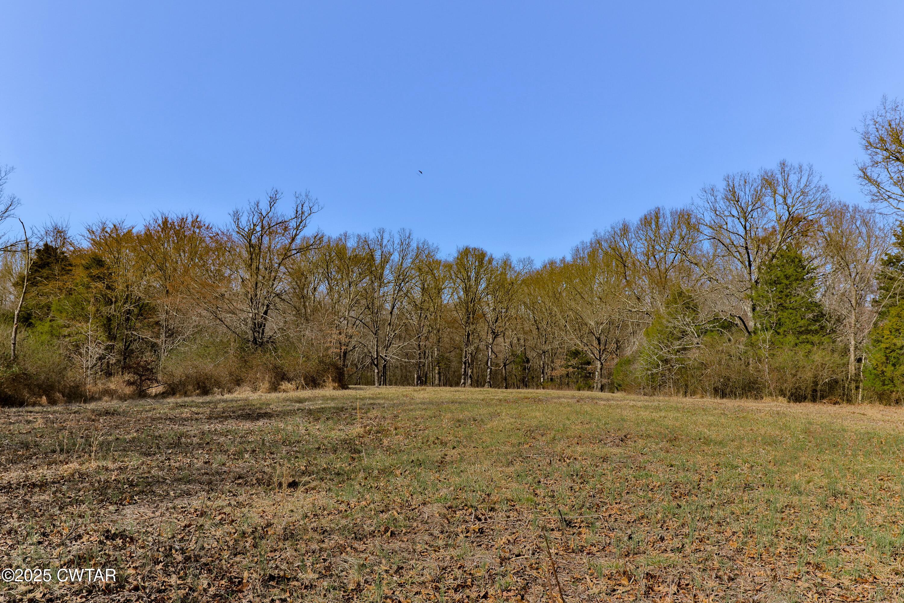 0 Sanders Store Road Milan, TN 38358 - Photo 5 of 20 a view of outdoor space with mountain view