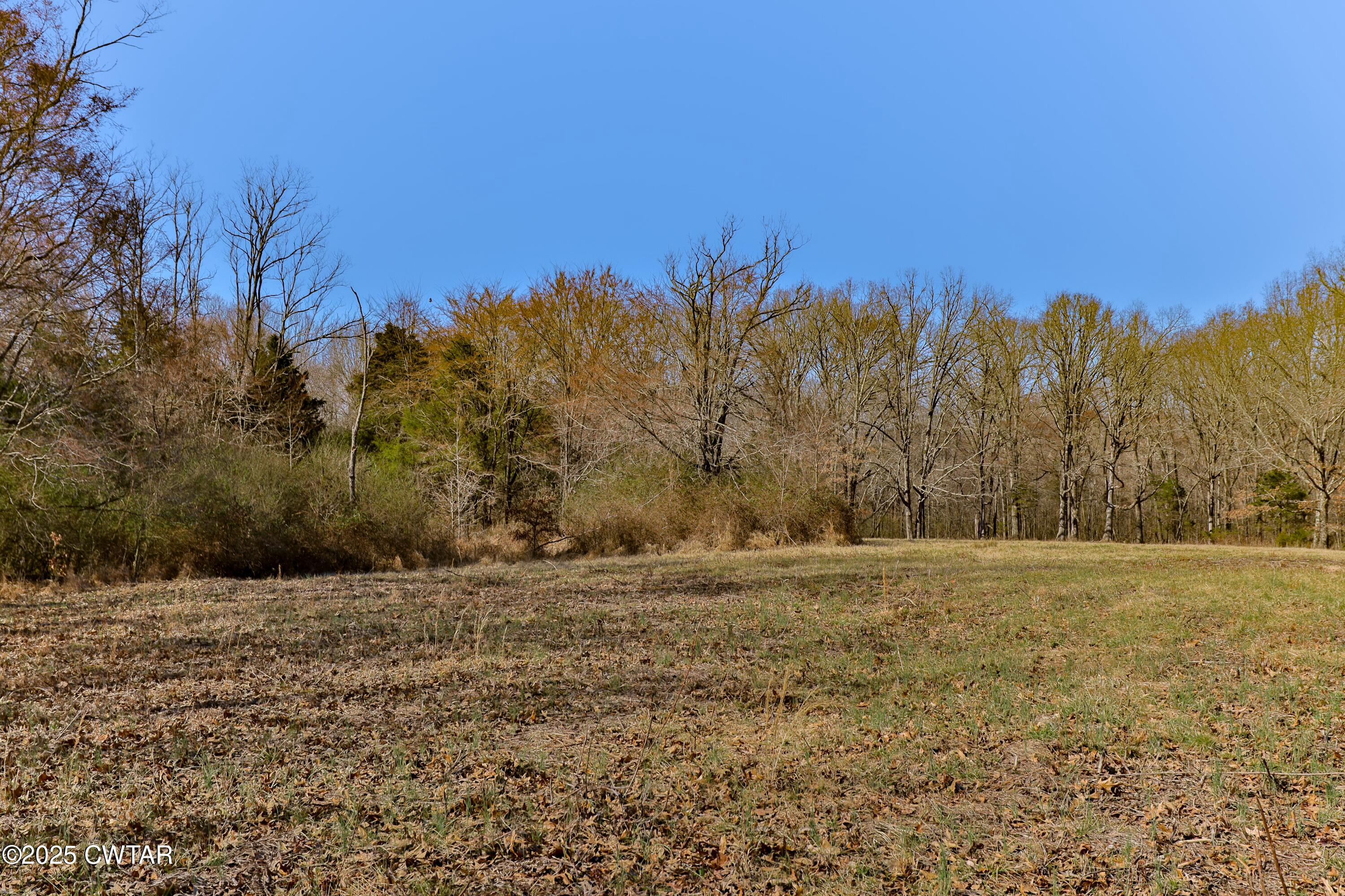 0 Sanders Store Road Milan, TN 38358 - Photo 6 of 20 a view of a field with trees in background