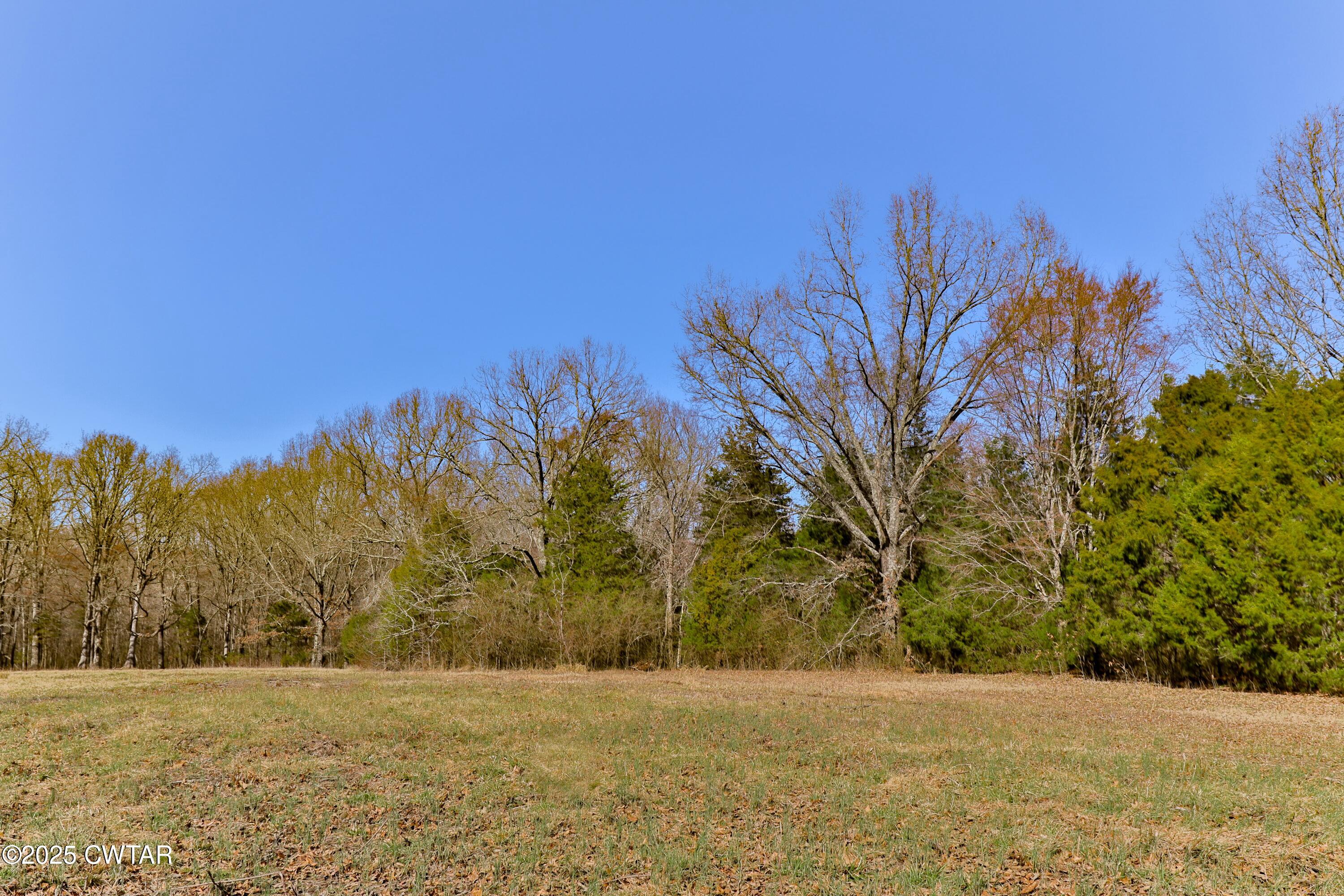 0 Sanders Store Road Milan, TN 38358 - Photo 7 of 20 a view of an outdoor space and a yard