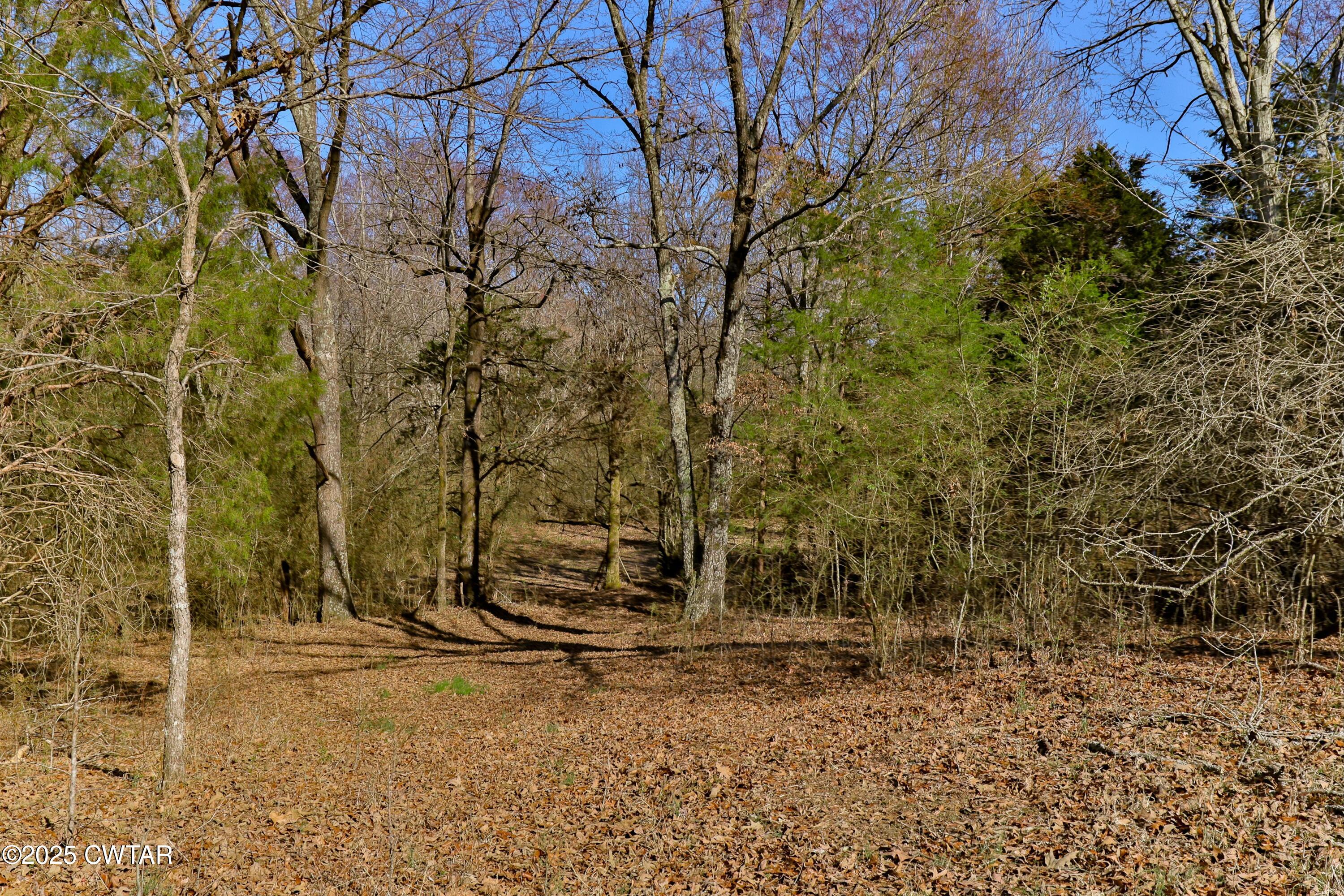 0 Sanders Store Road Milan, TN 38358 - Photo 9 of 20 a view of a yard with wooden fence