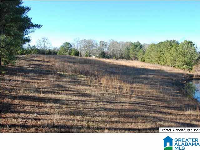 993 County Road, Unit 7 Clanton, AL 35045 - Photo 3 of 8
