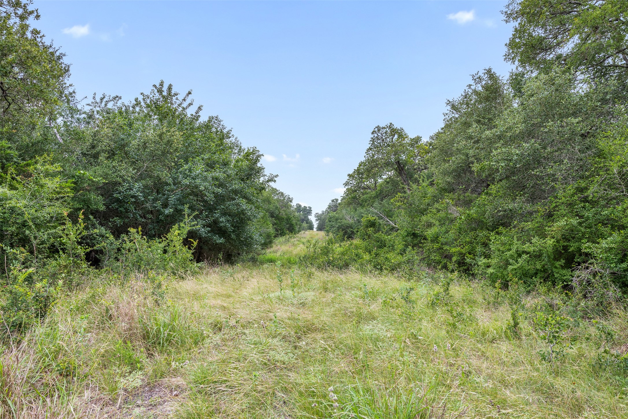 0 Schuster Road Round Top, TX 78954 - Photo 12 of 26