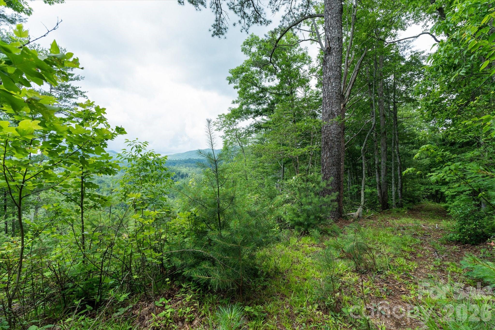 99999 Gunter Town Road Marshall, NC 28753 - Photo 11 of 19