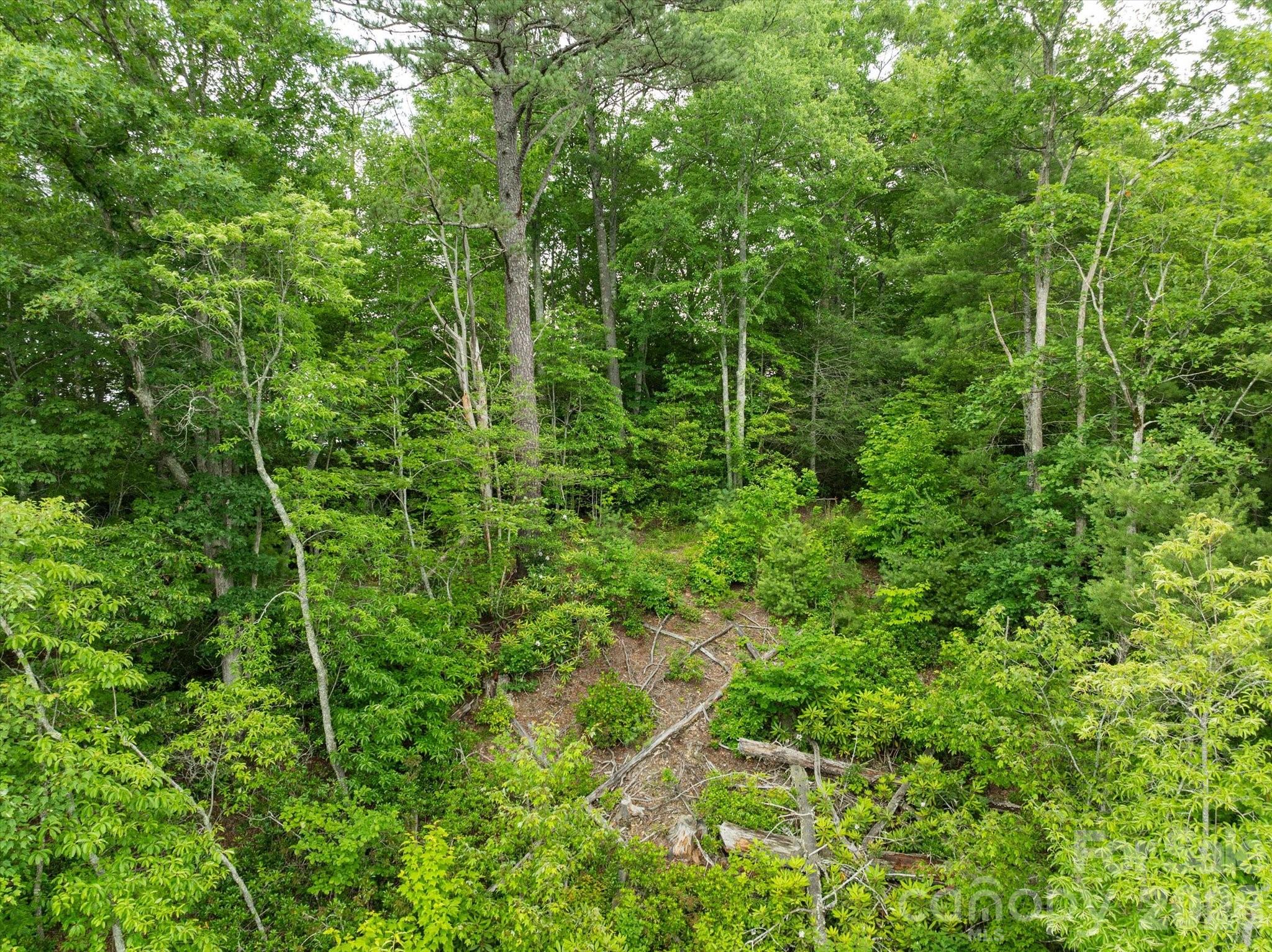 99999 Gunter Town Road Marshall, NC 28753 - Photo 13 of 19