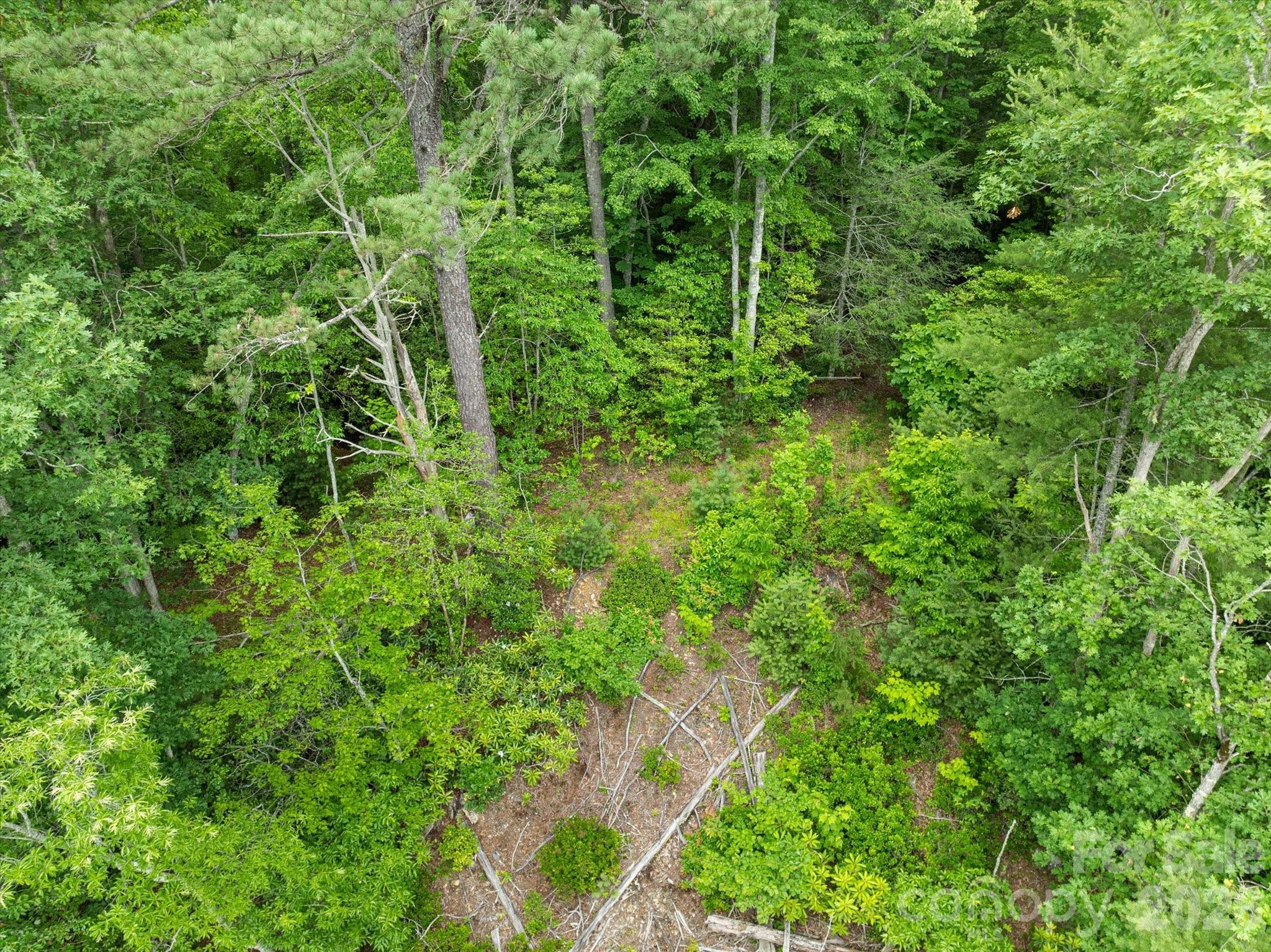 99999 Gunter Town Road Marshall, NC 28753 - Photo 15 of 19