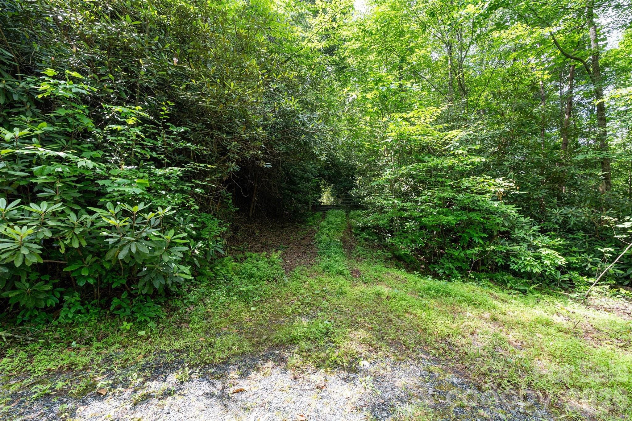 99999 Gunter Town Road Marshall, NC 28753 - Photo 16 of 19