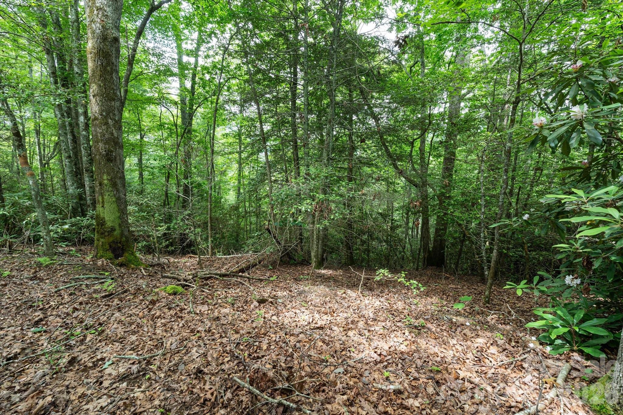 99999 Gunter Town Road Marshall, NC 28753 - Photo 17 of 19