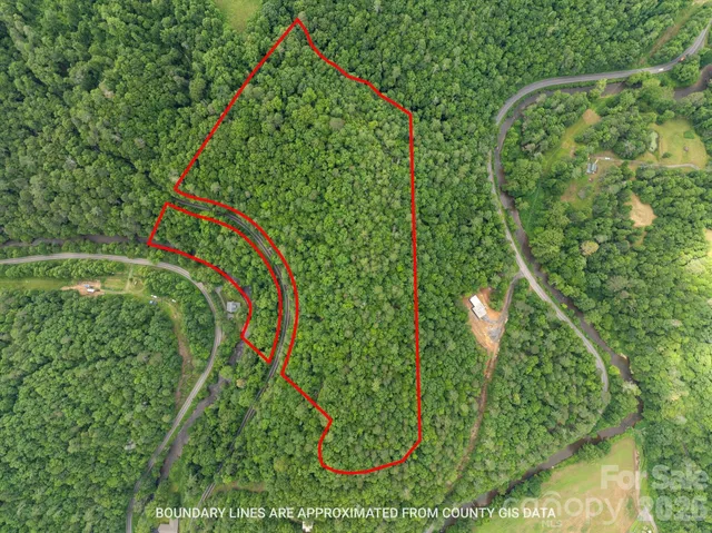 a close up of a plant in a garden