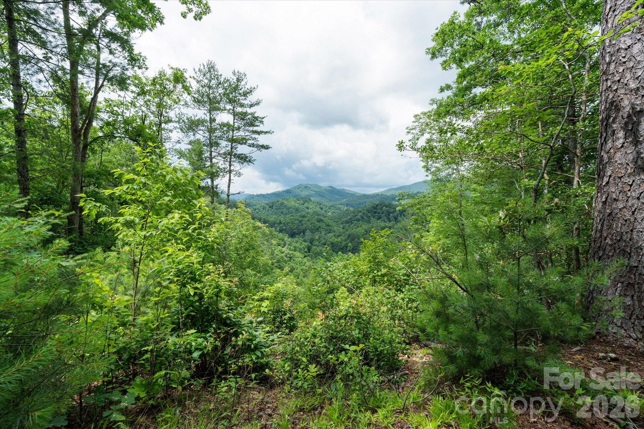 99999 Gunter Town Road Marshall, NC 28753 - Photo 4 of 19