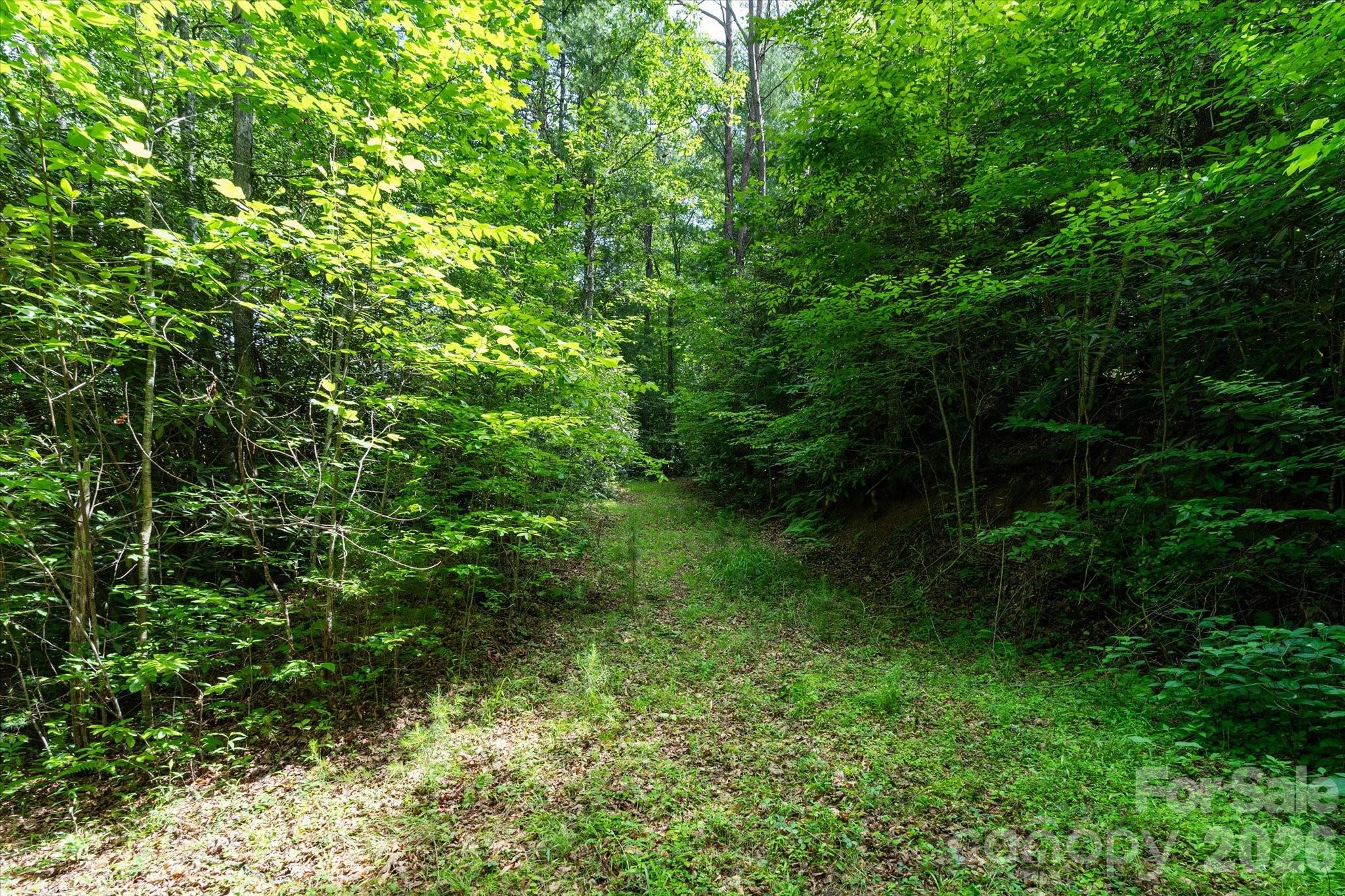 99999 Gunter Town Road Marshall, NC 28753 - Photo 5 of 19