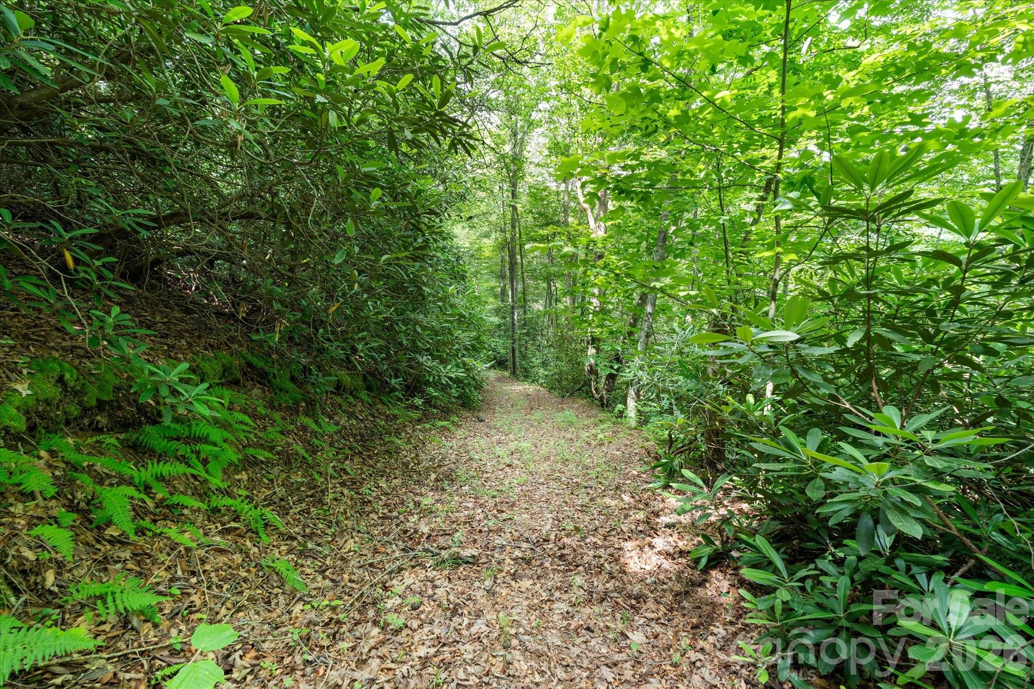 99999 Gunter Town Road Marshall, NC 28753 - Photo 6 of 19