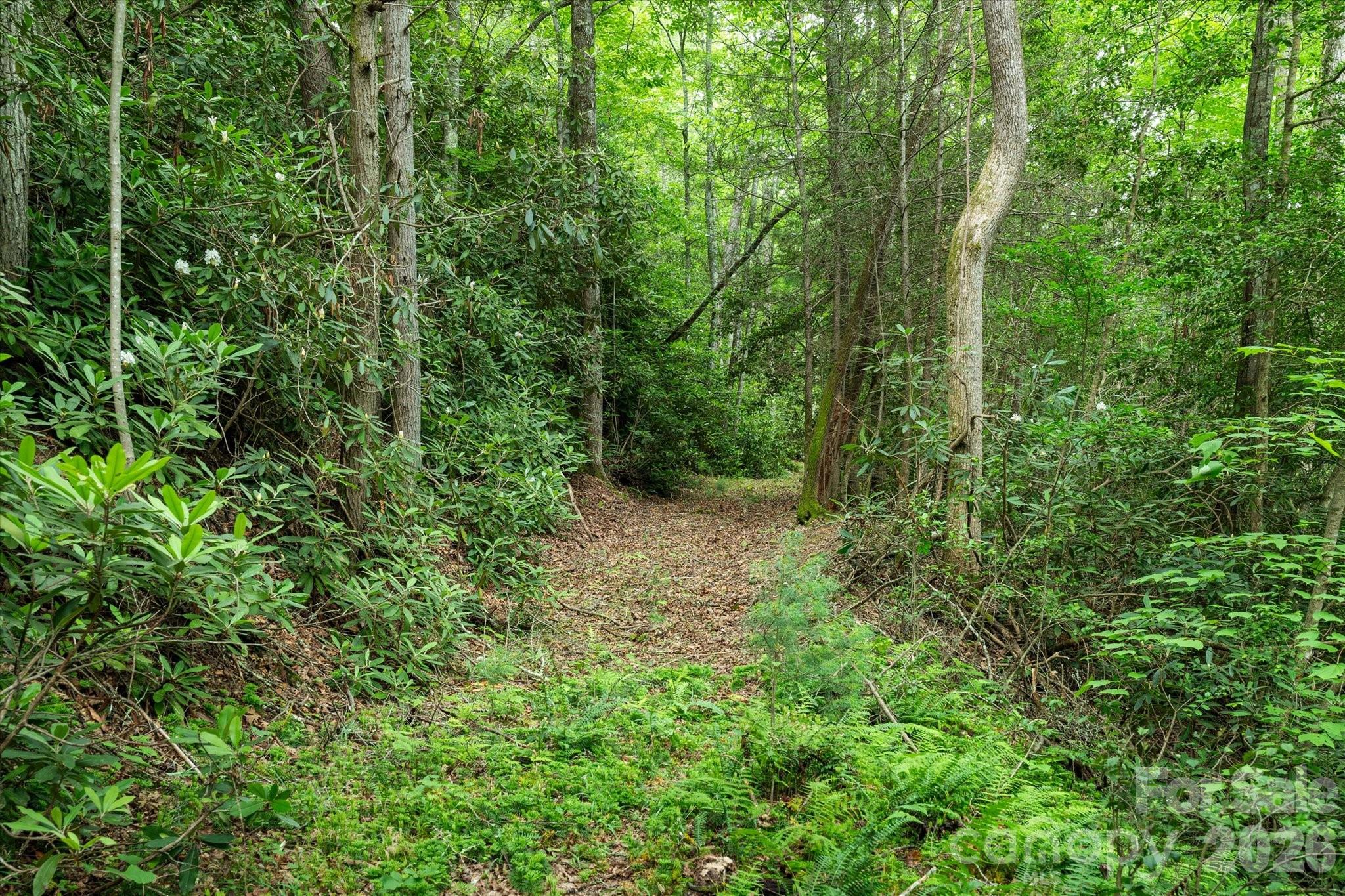 99999 Gunter Town Road Marshall, NC 28753 - Photo 7 of 19