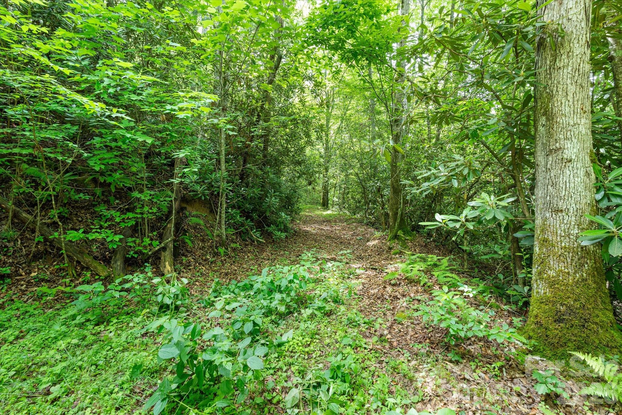 99999 Gunter Town Road Marshall, NC 28753 - Photo 8 of 19