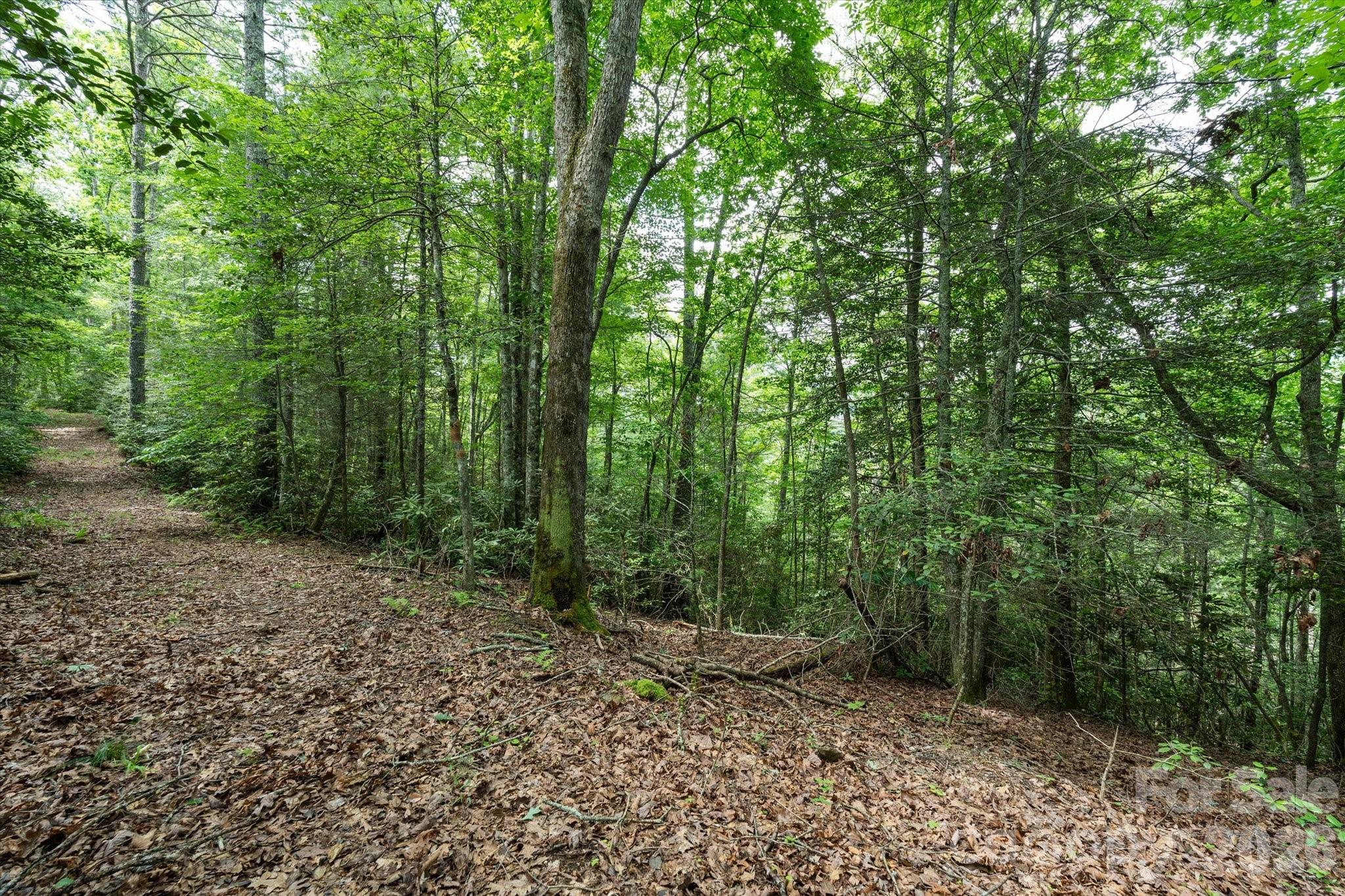 99999 Gunter Town Road Marshall, NC 28753 - Photo 9 of 19