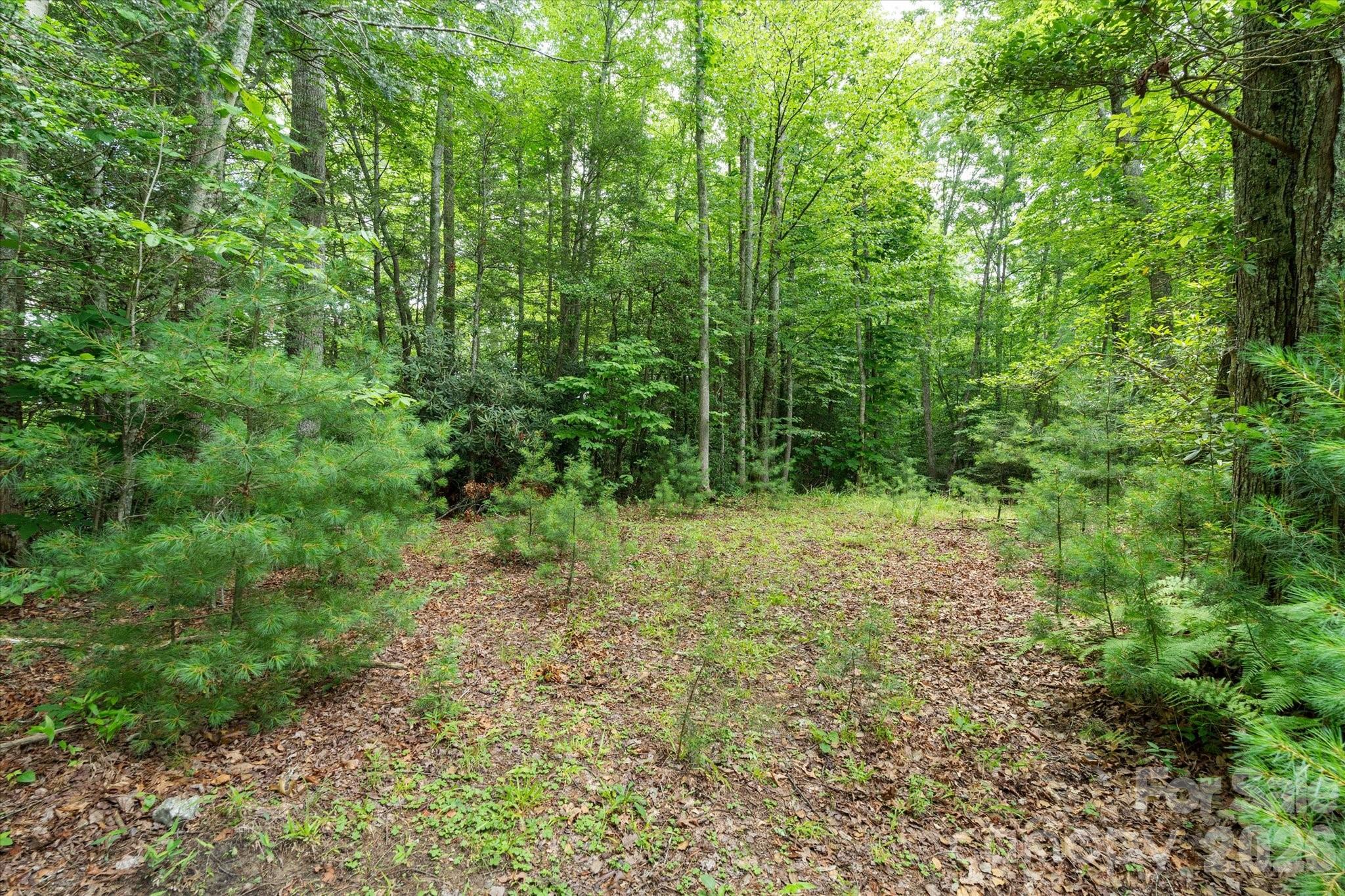 99999 Gunter Town Road Marshall, NC 28753 - Photo 10 of 19