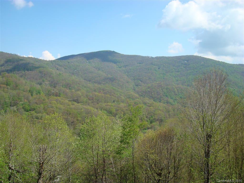 341 Ridgeway Drive Mars Hill, NC 28754 - Photo 2 of 24