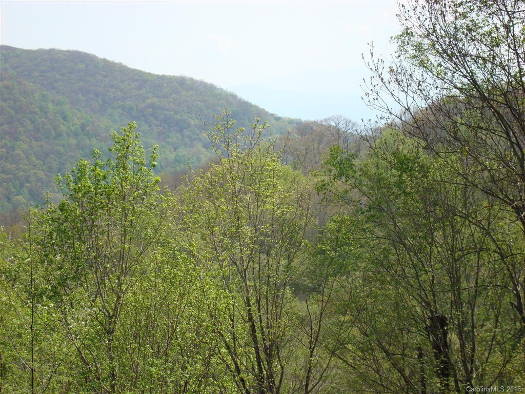 341 Ridgeway Drive Mars Hill, NC 28754 - Photo 3 of 24