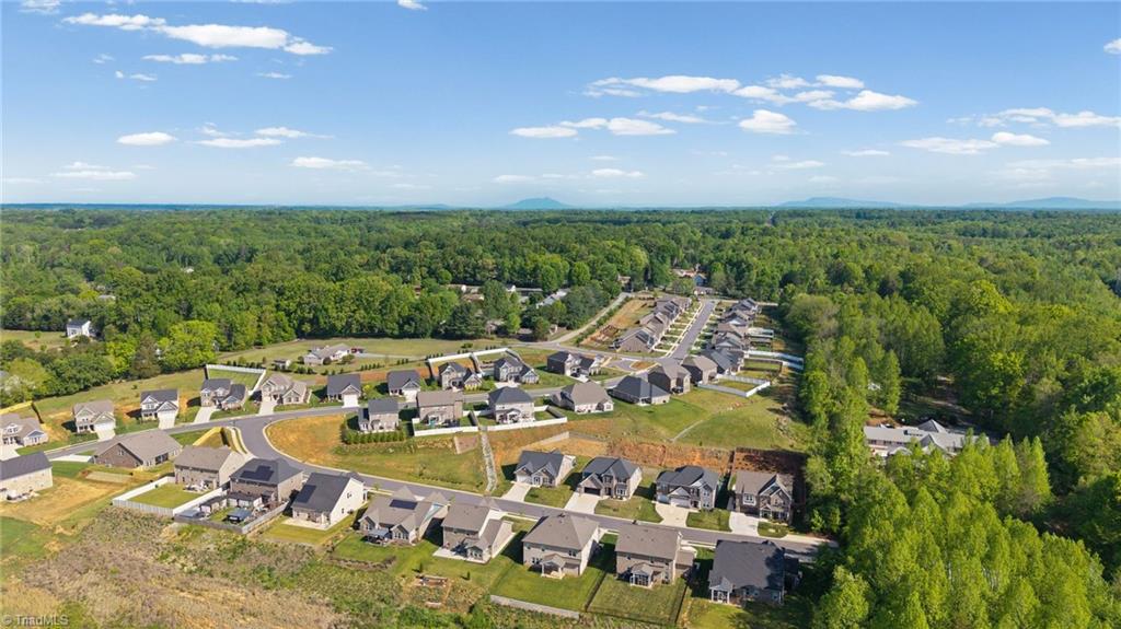 6235 Kershaw Mdws Road Pfafftown, NC 27040 - Photo 11 of 19 Gladstone Neighborhood