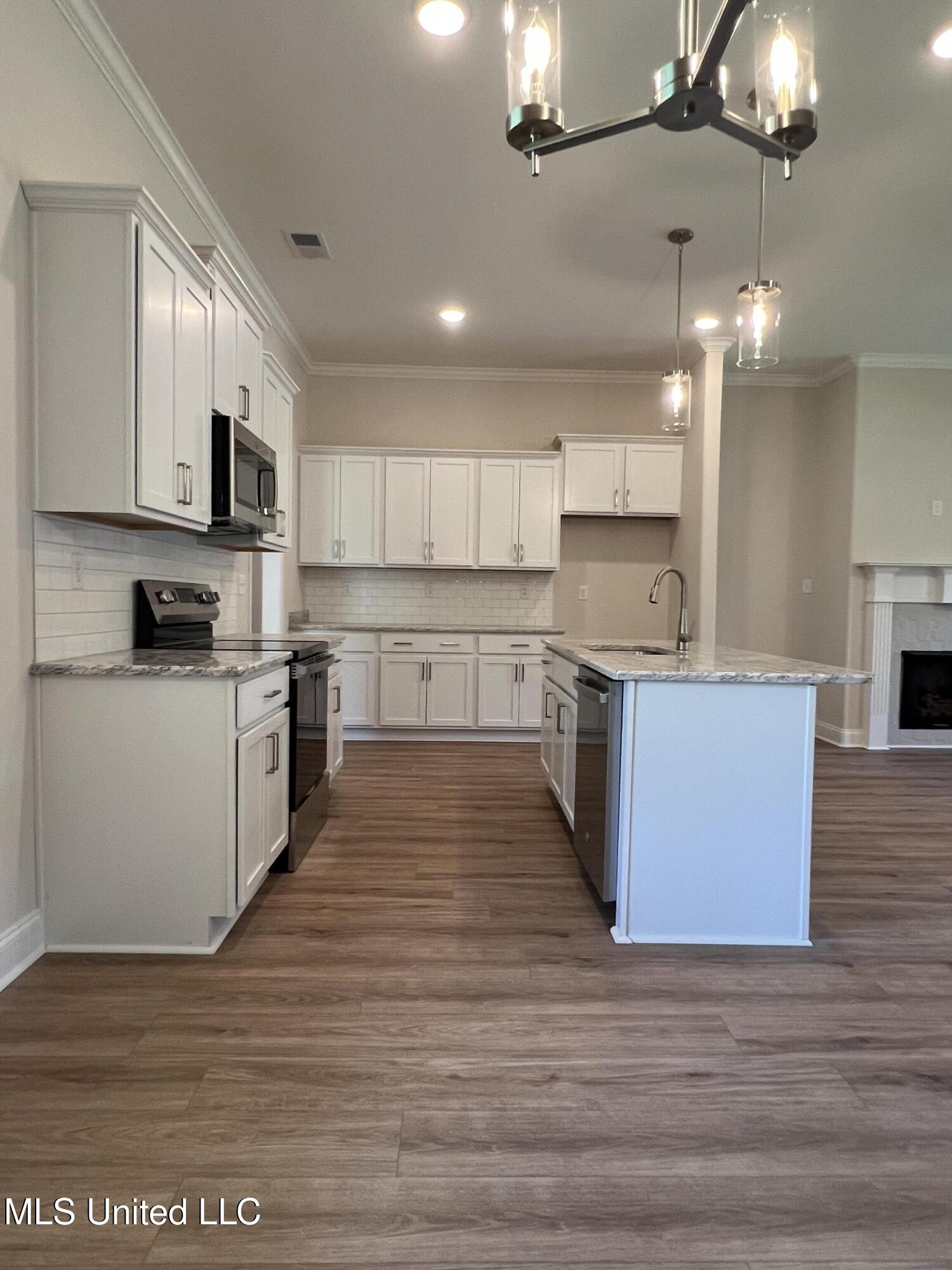 2233 Scott Mdws Lane Hernando, MS 38632 - Photo 8 of 29 IMG_3331