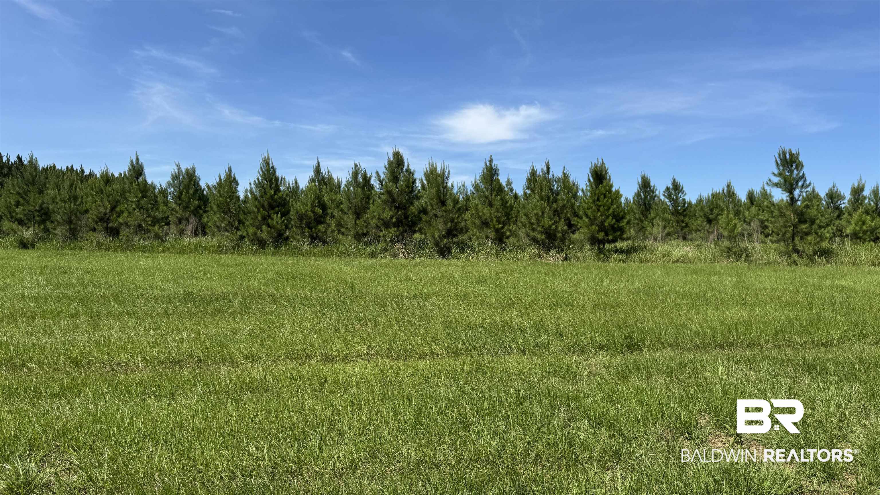 0 County Road 87 Elberta, AL 36530 - Photo 38 of 46
