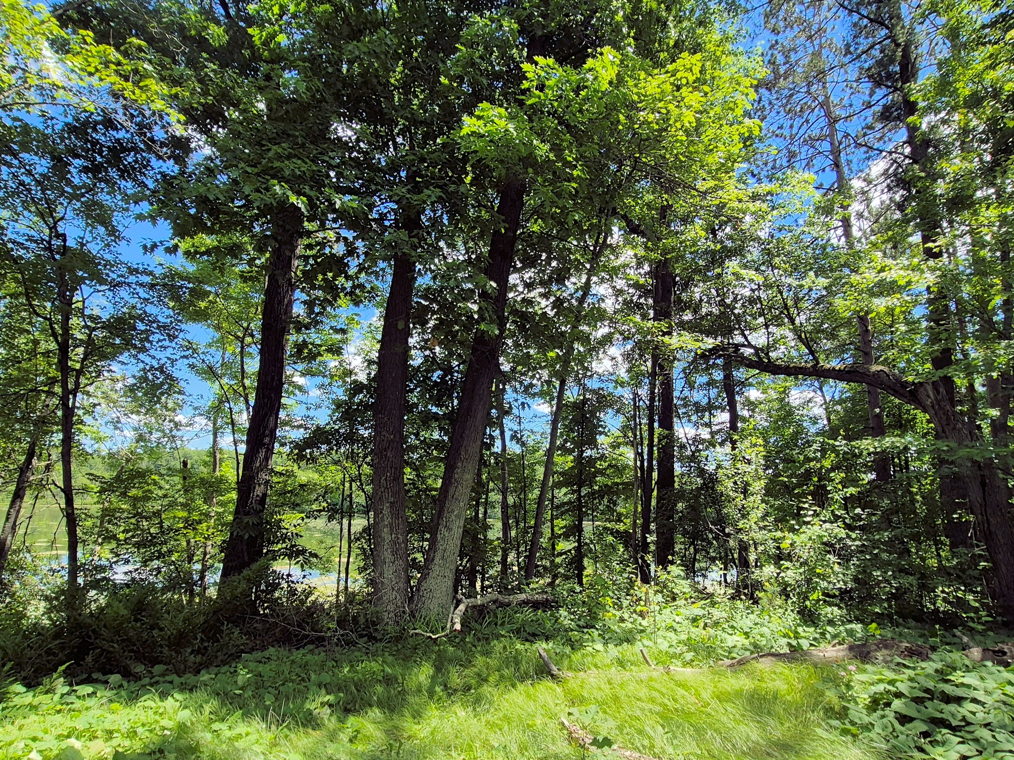 9341 North Nyberg Road Hayward, WI 54843 - Photo 12 of 32