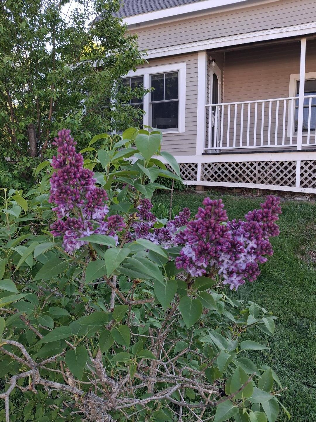 5 Penniman Road Bristol, ME 04554 - Photo 78 of 79 20260526_181142
